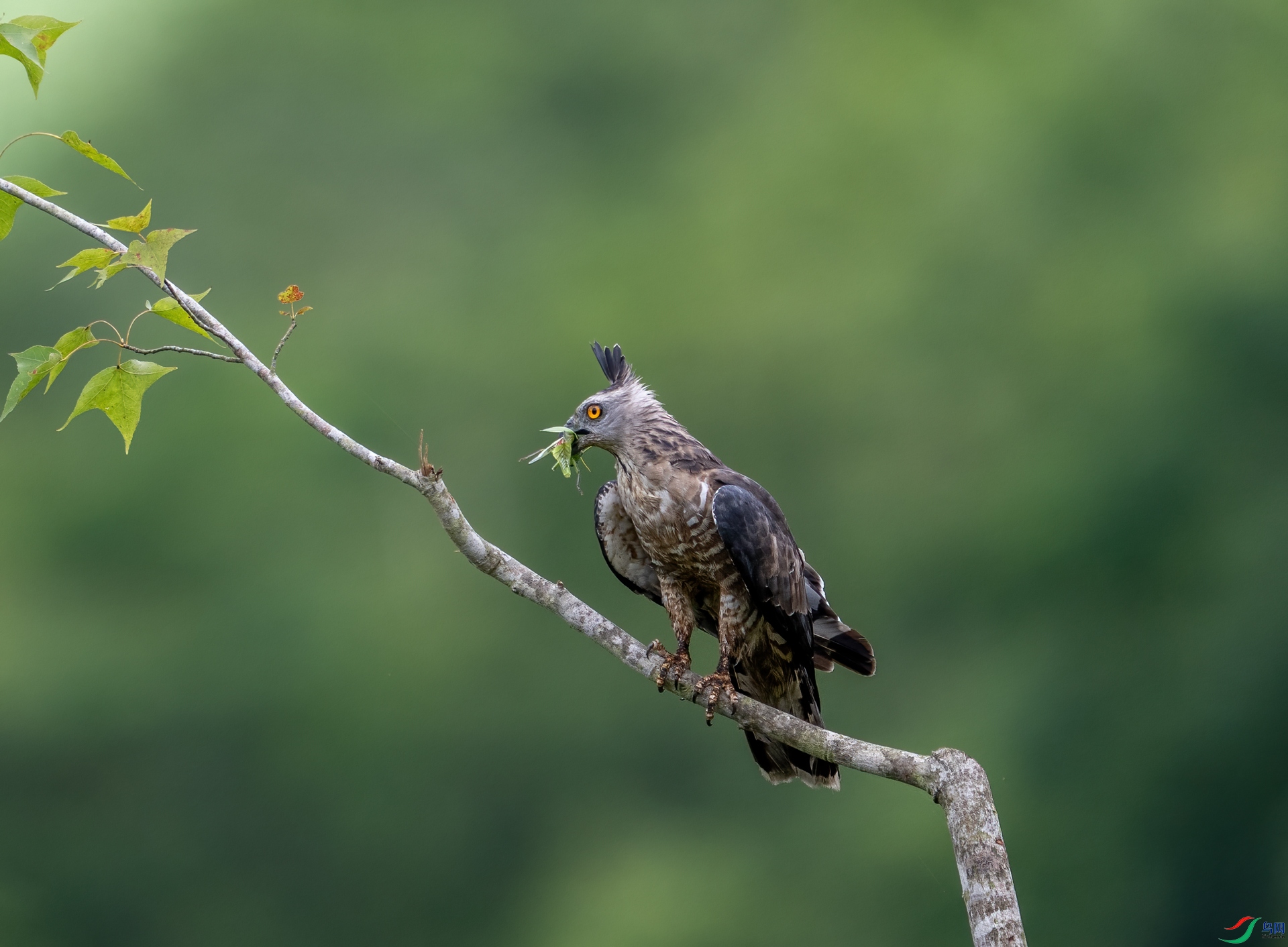 DSC_3905-1.jpg