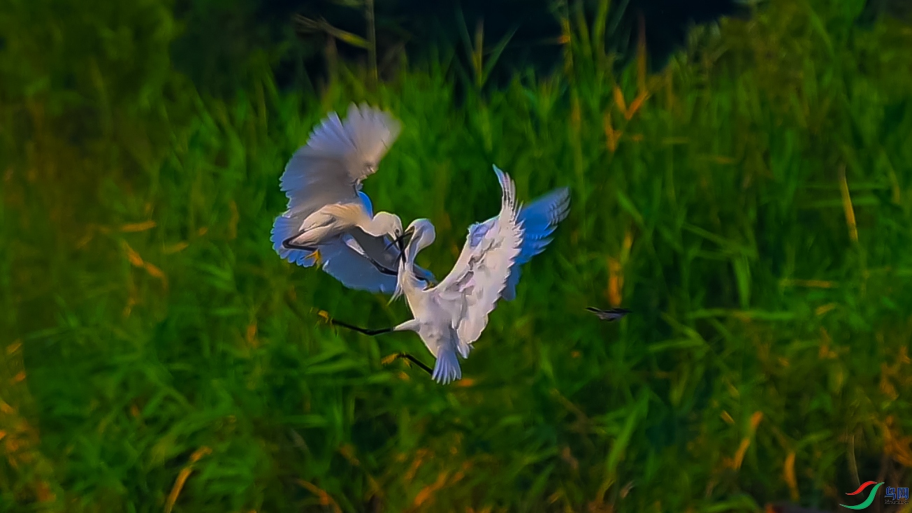 ���ؾ�һ��ս ����.jpg