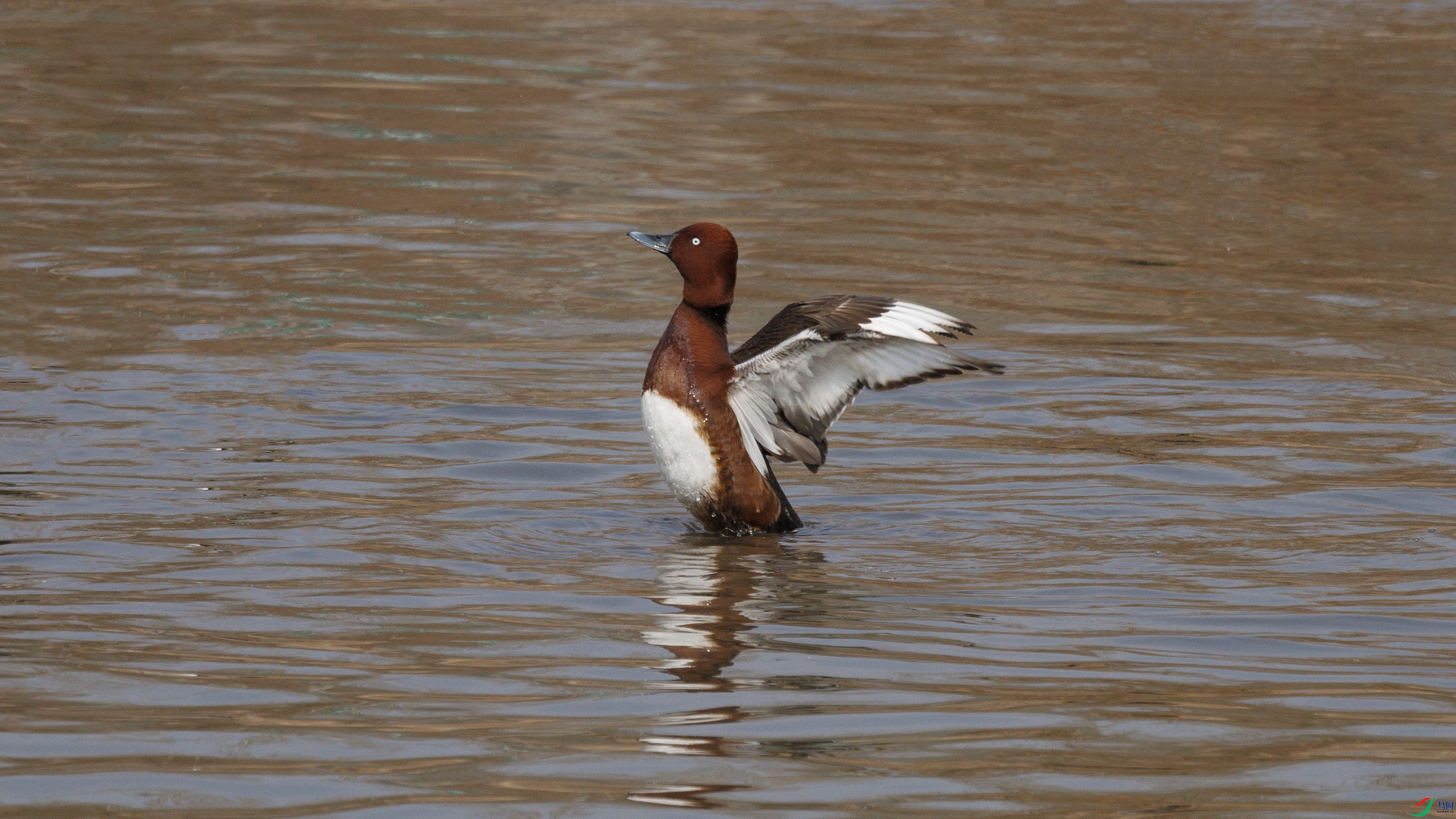 7X5A4067 ����000.jpg