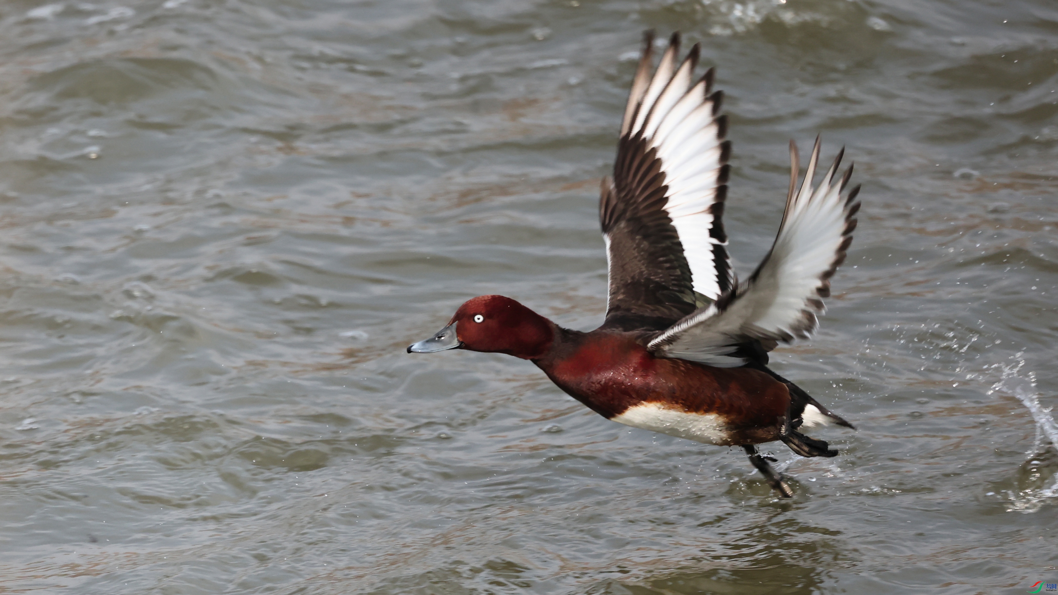 7X5A4173 ����222.jpg