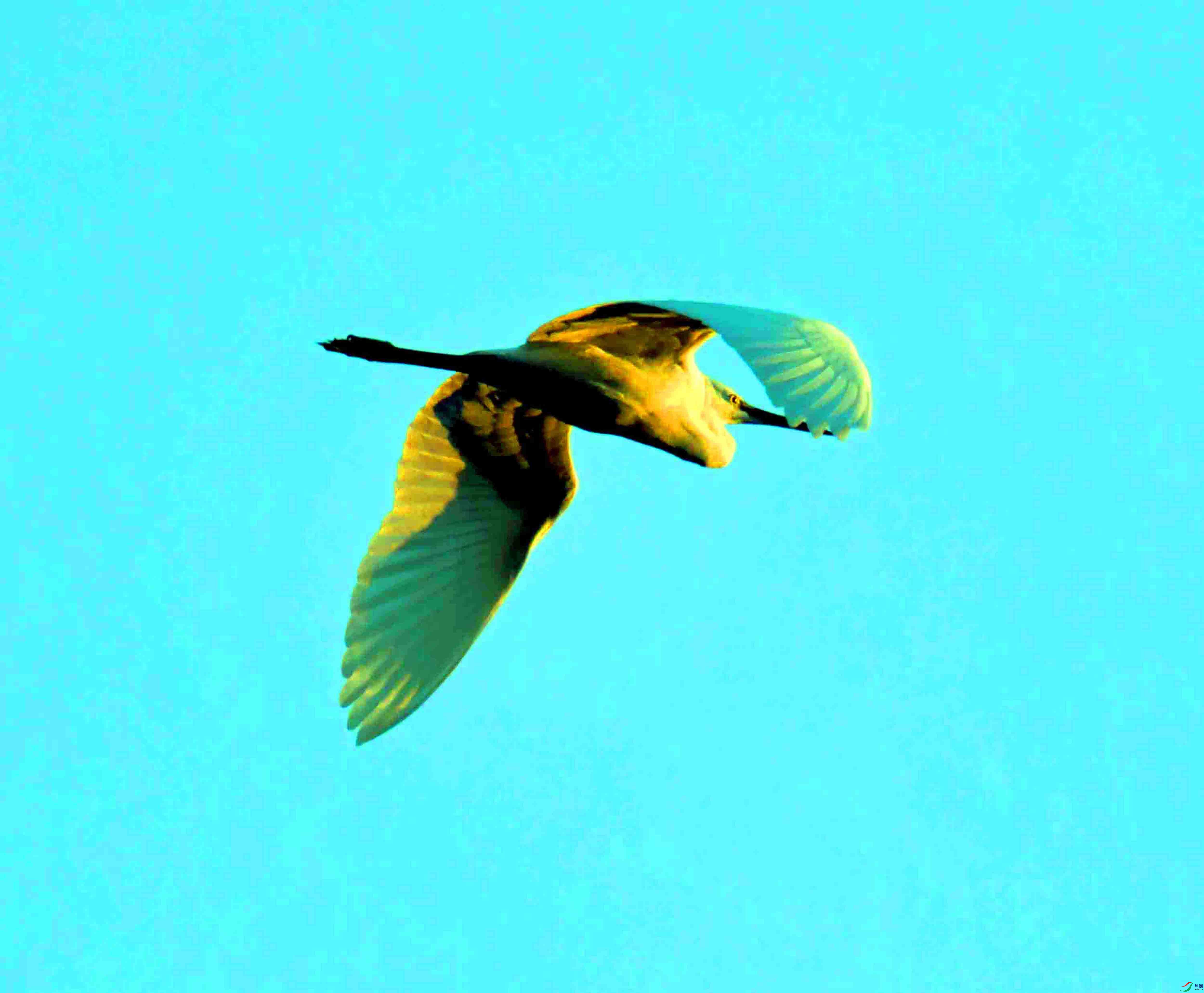 DSC_4400.JPG