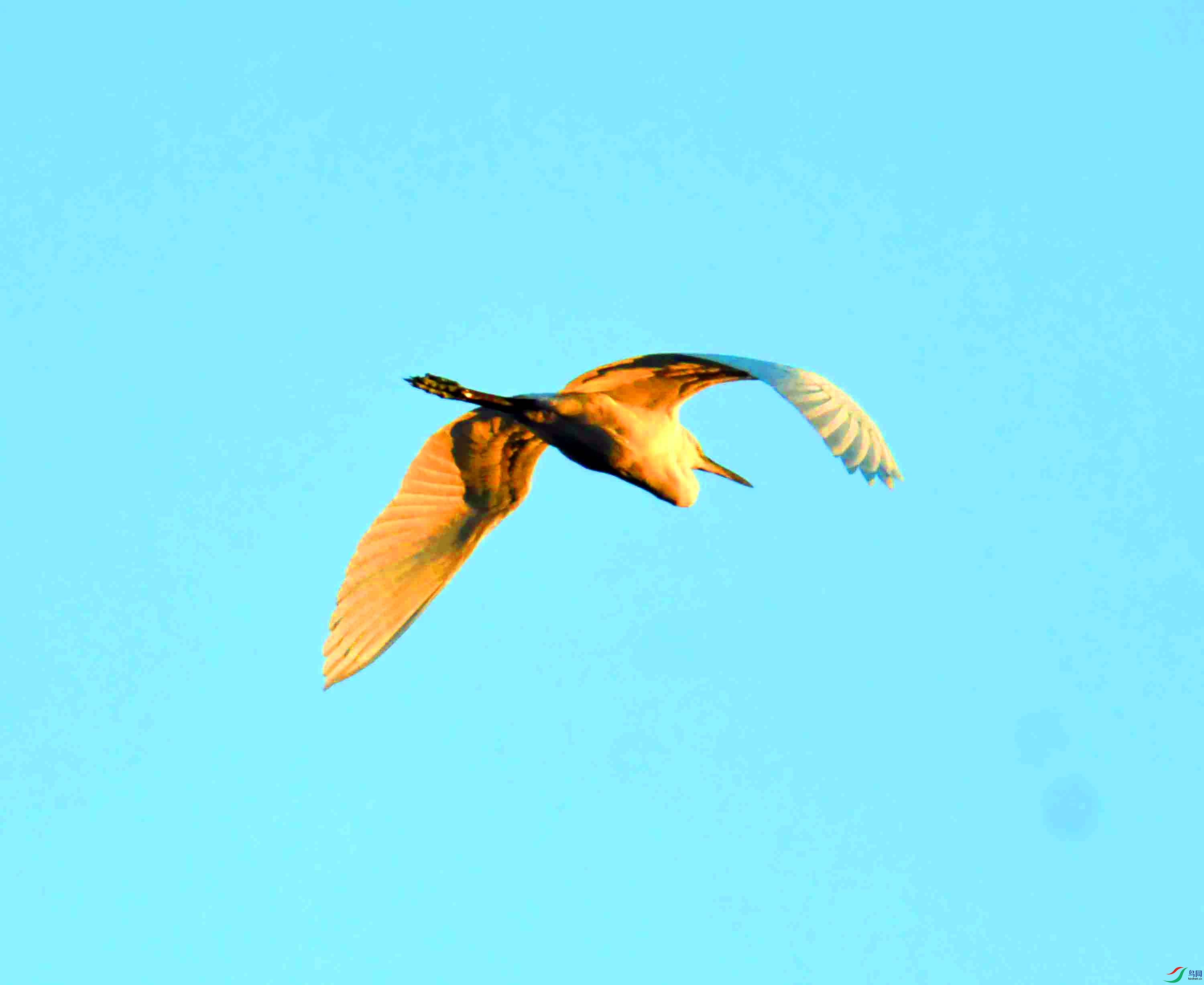DSC_4403.JPG