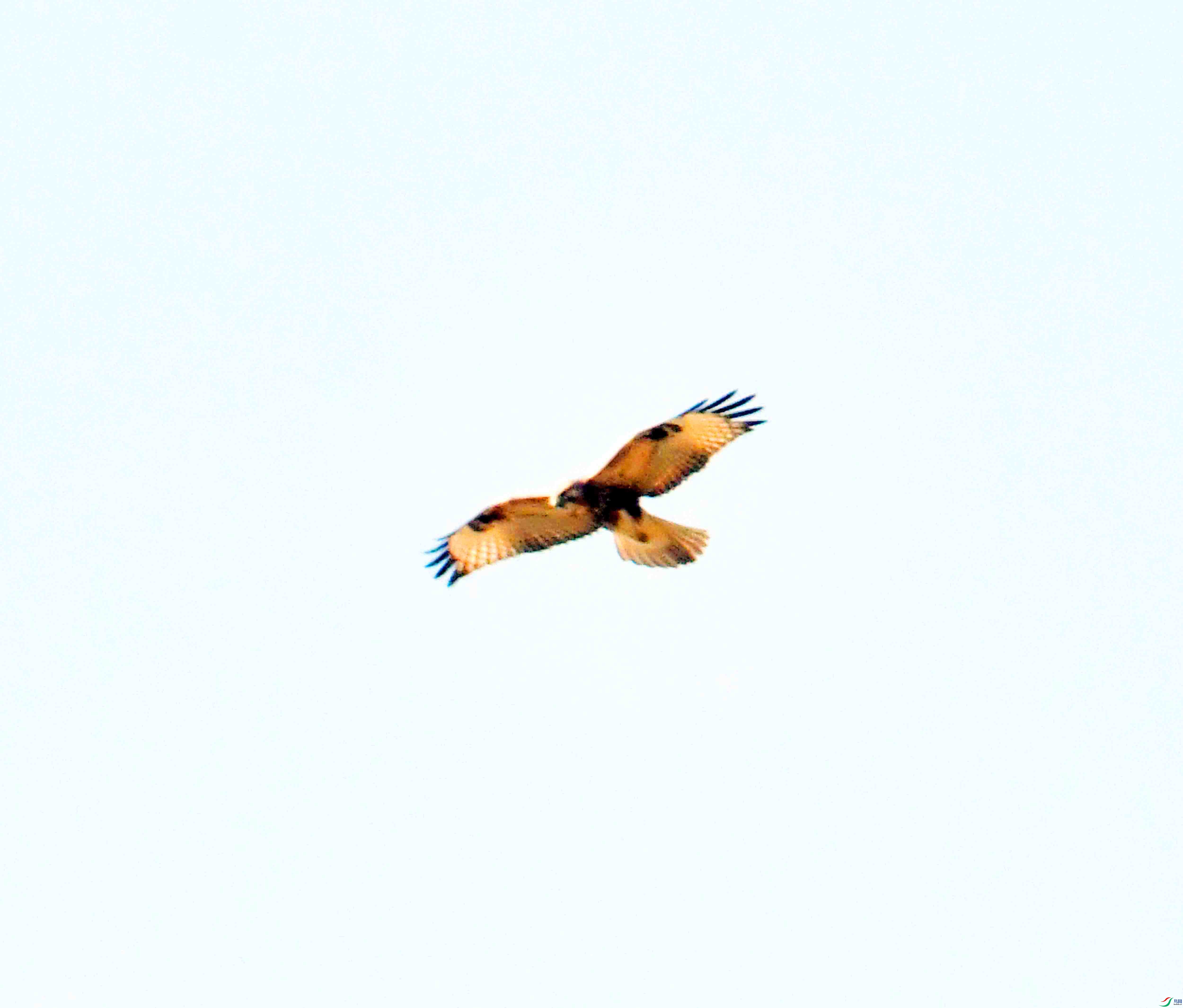 DSC_0593.JPG