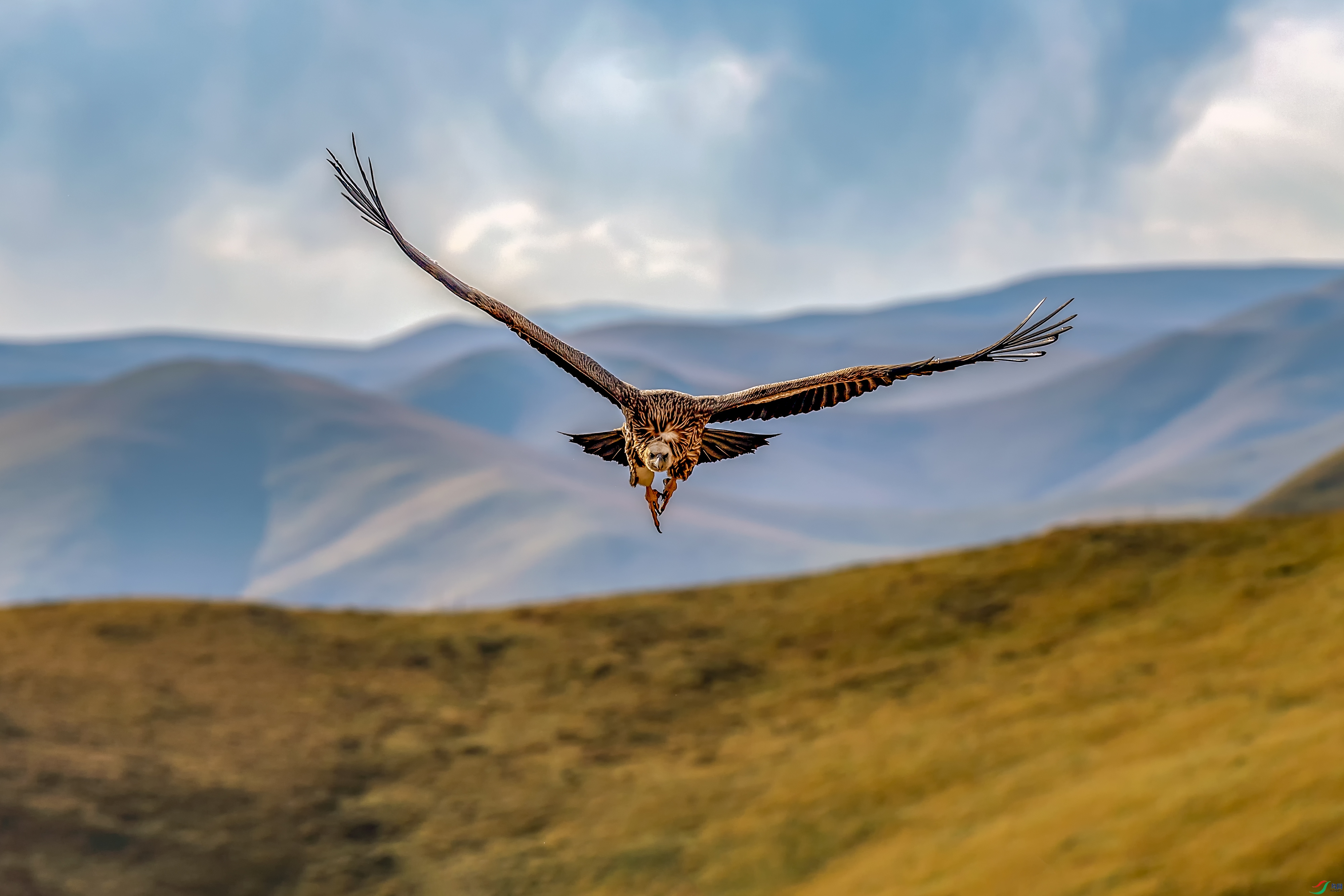 _DSC5894_��ͼ�� (2).jpg