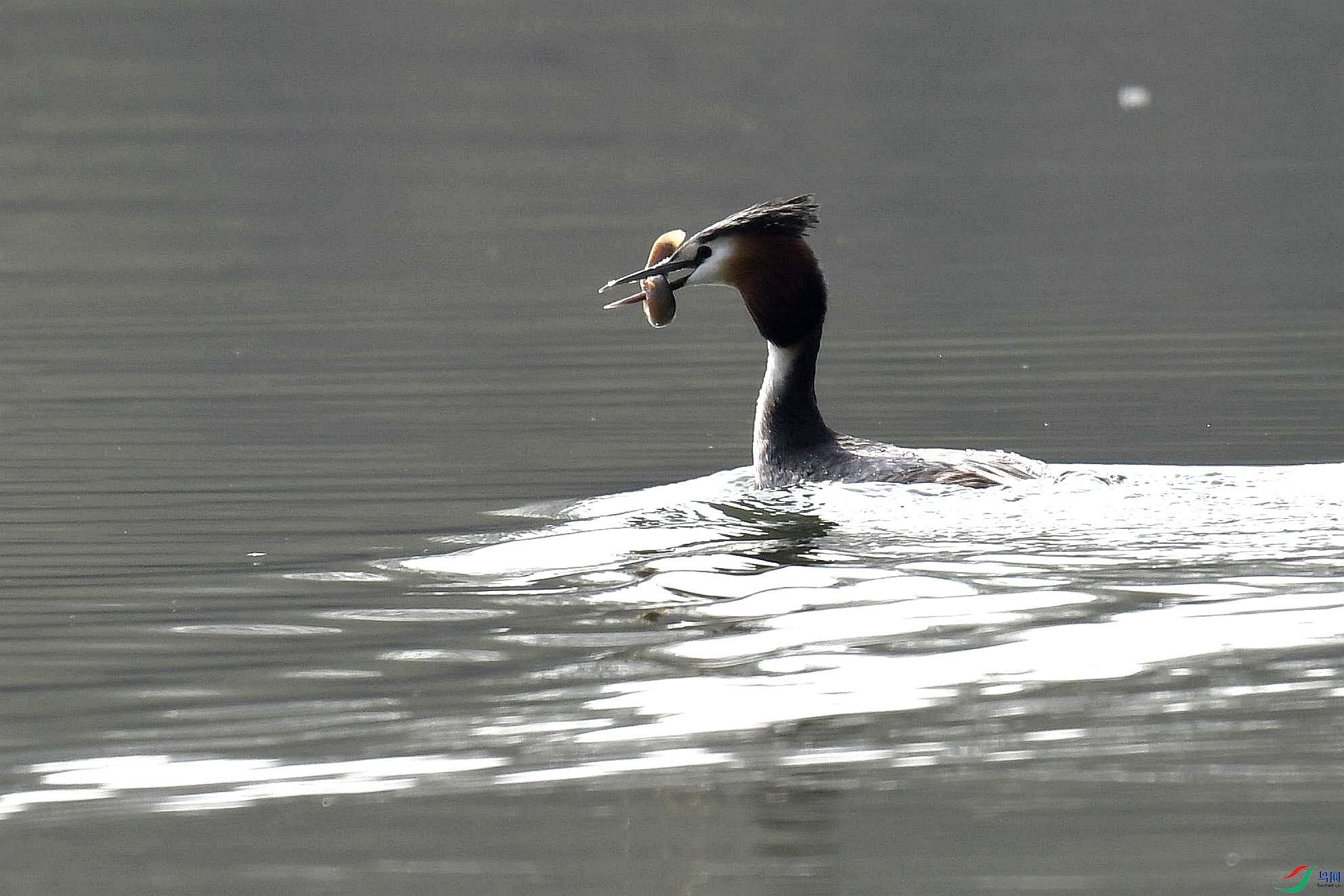 _DSC5848_����.jpg