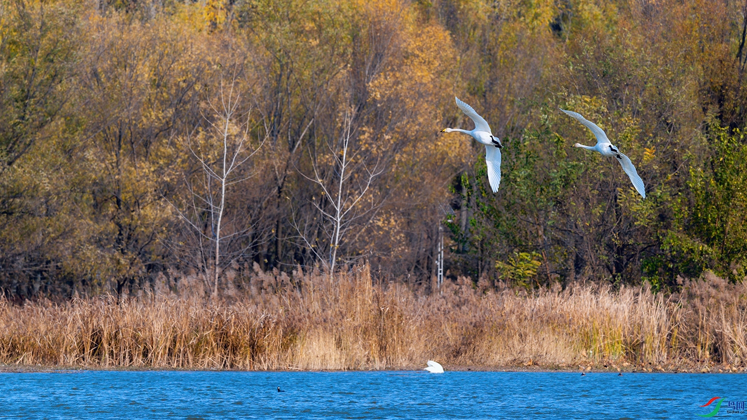 DSC_4886_DxOa.jpg