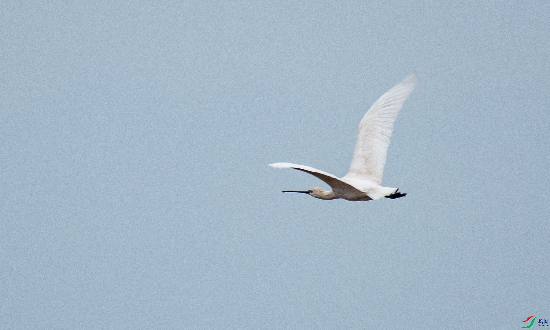 DSC_1056.jpg