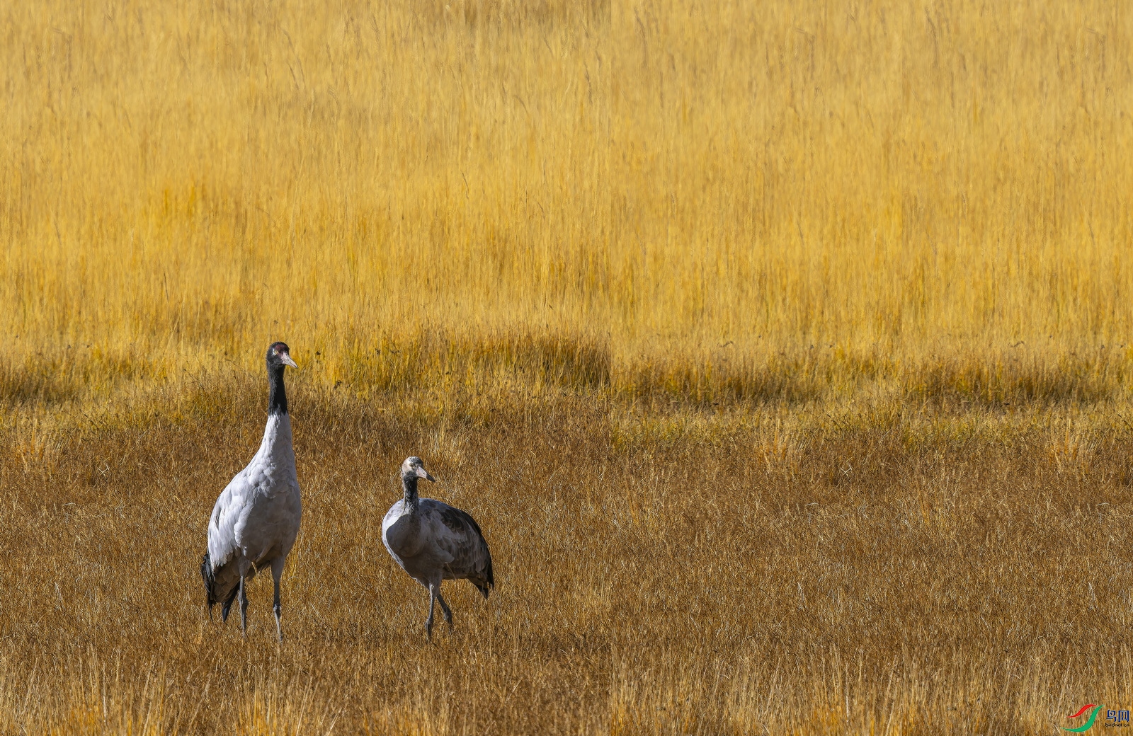 �ھ��ס���2023�� (590)-1.jpg