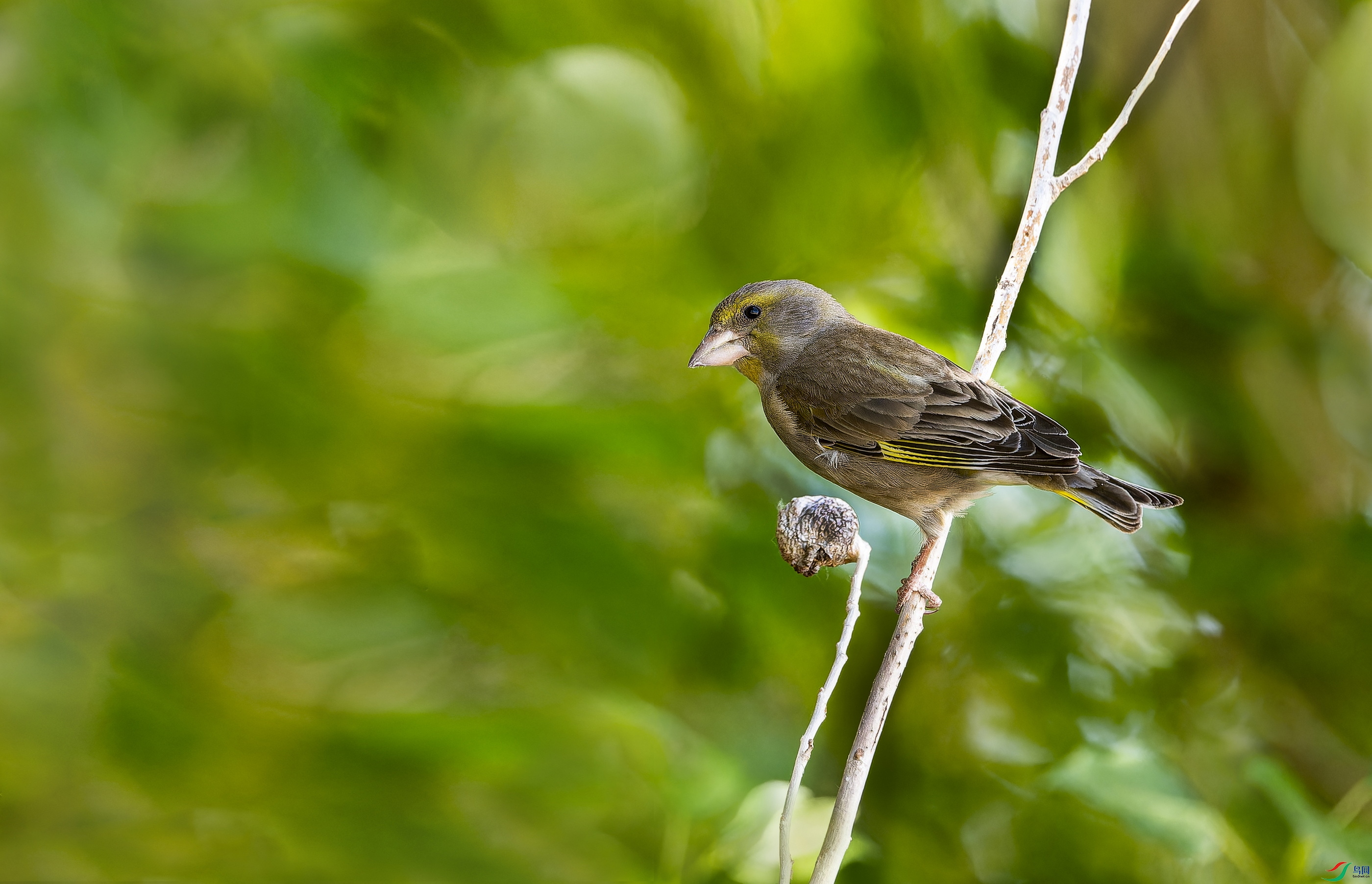 ŷ���ȸ (9)-1.jpg