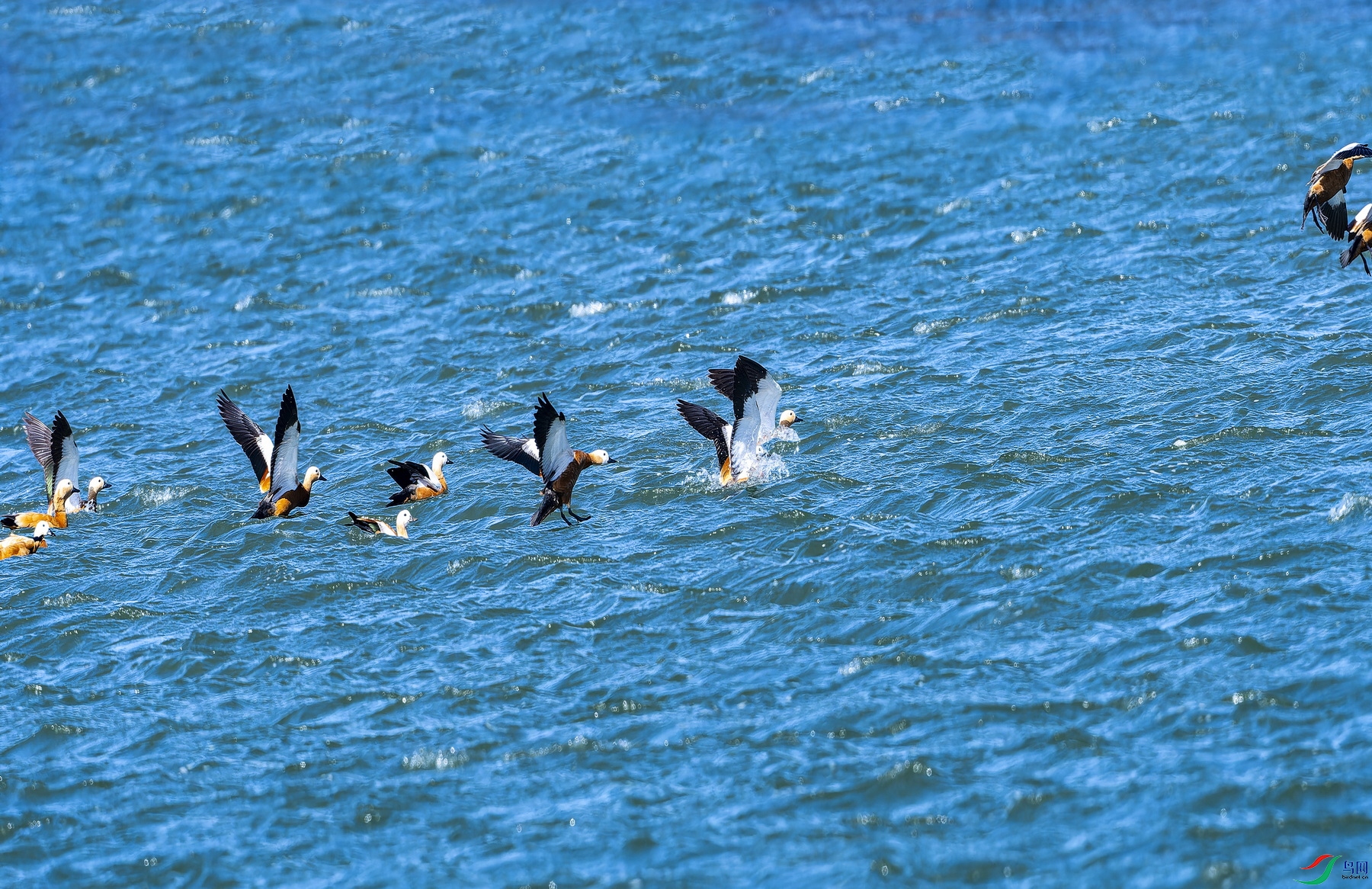 ����Ѽ (1)-1.jpg