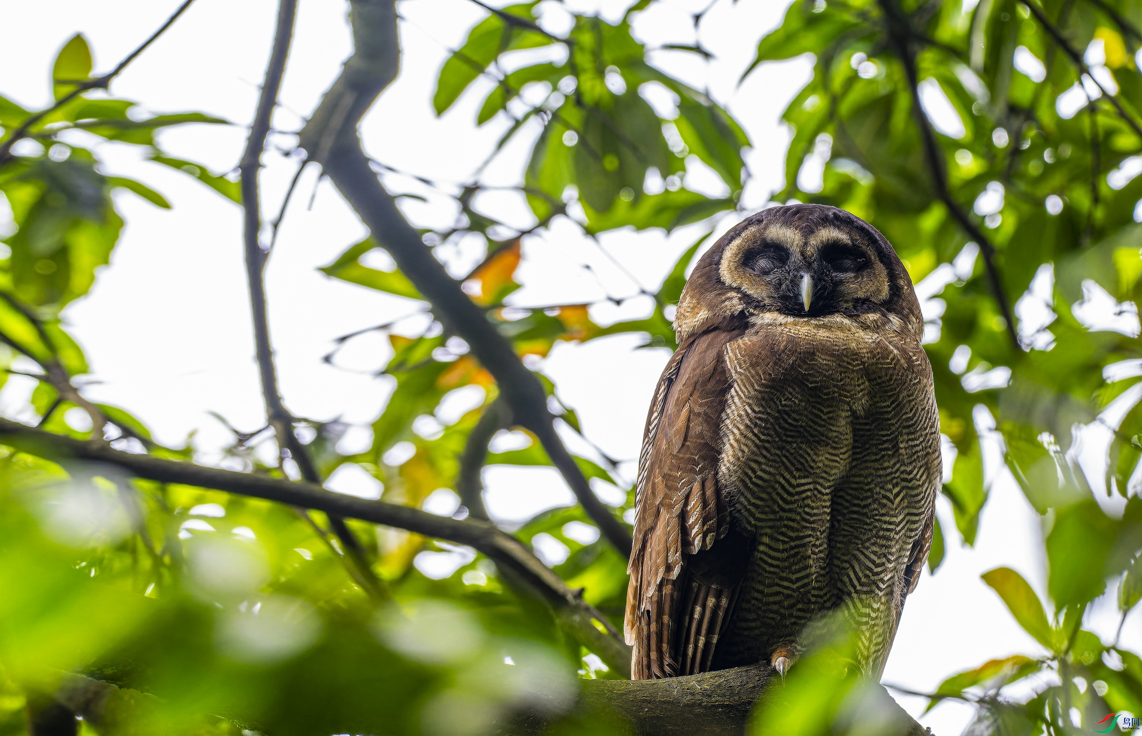 �����^������ (2046)-1.jpg