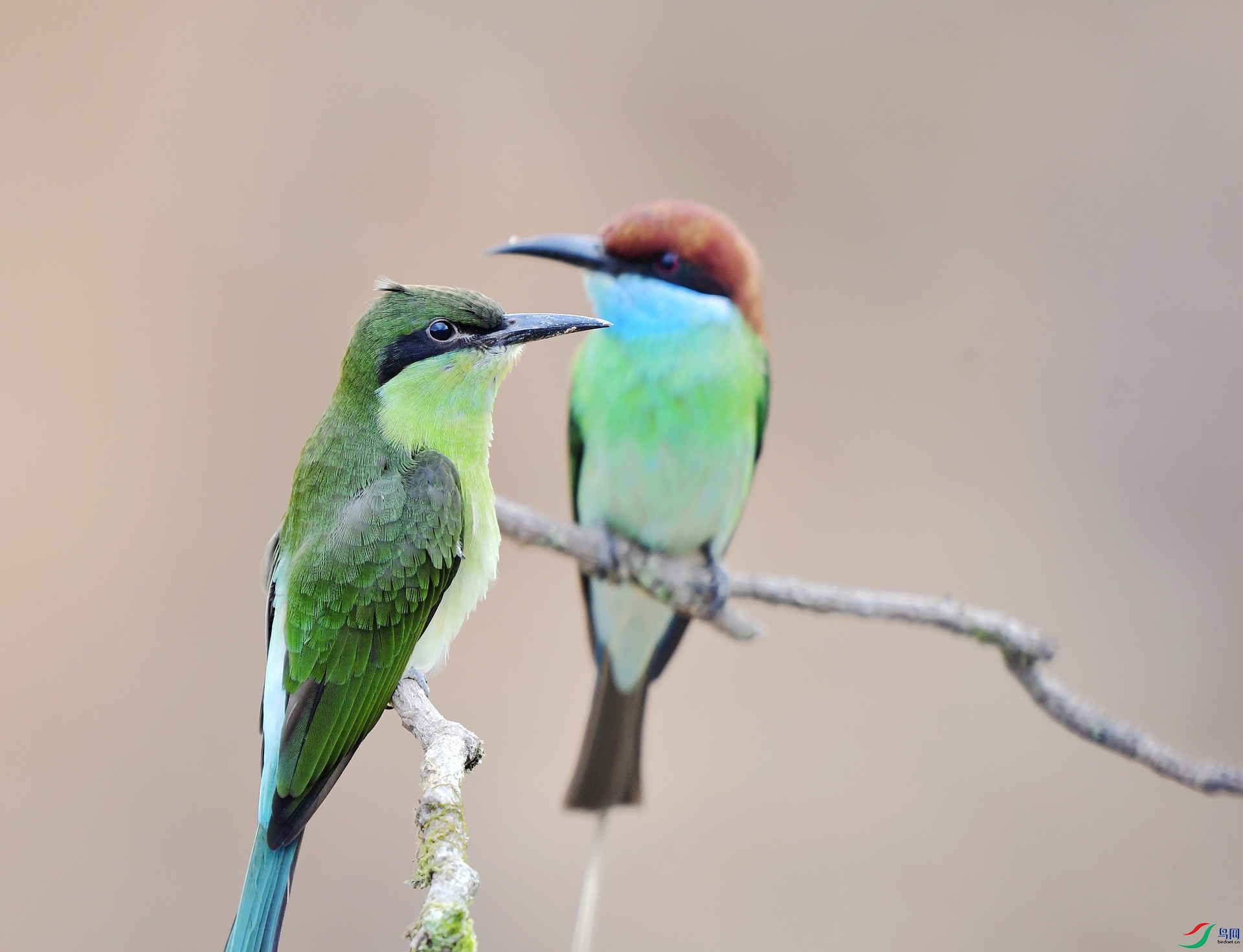 _D5D0952.jpg