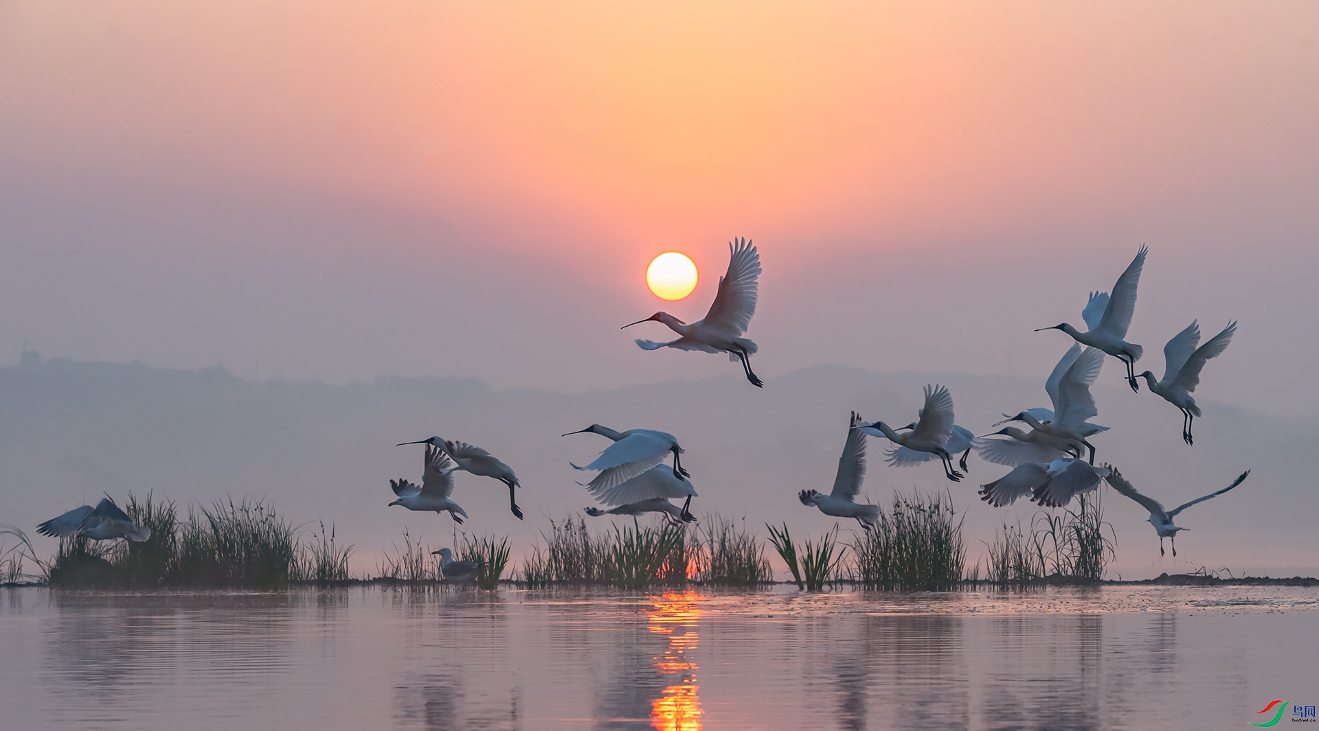 ���������뺣Ÿ