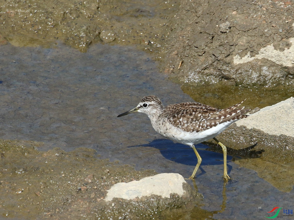 DSC20240424050.jpg