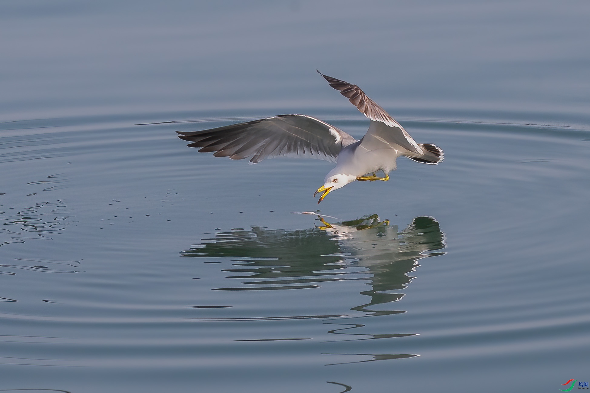 EL0T3295 ����.jpg