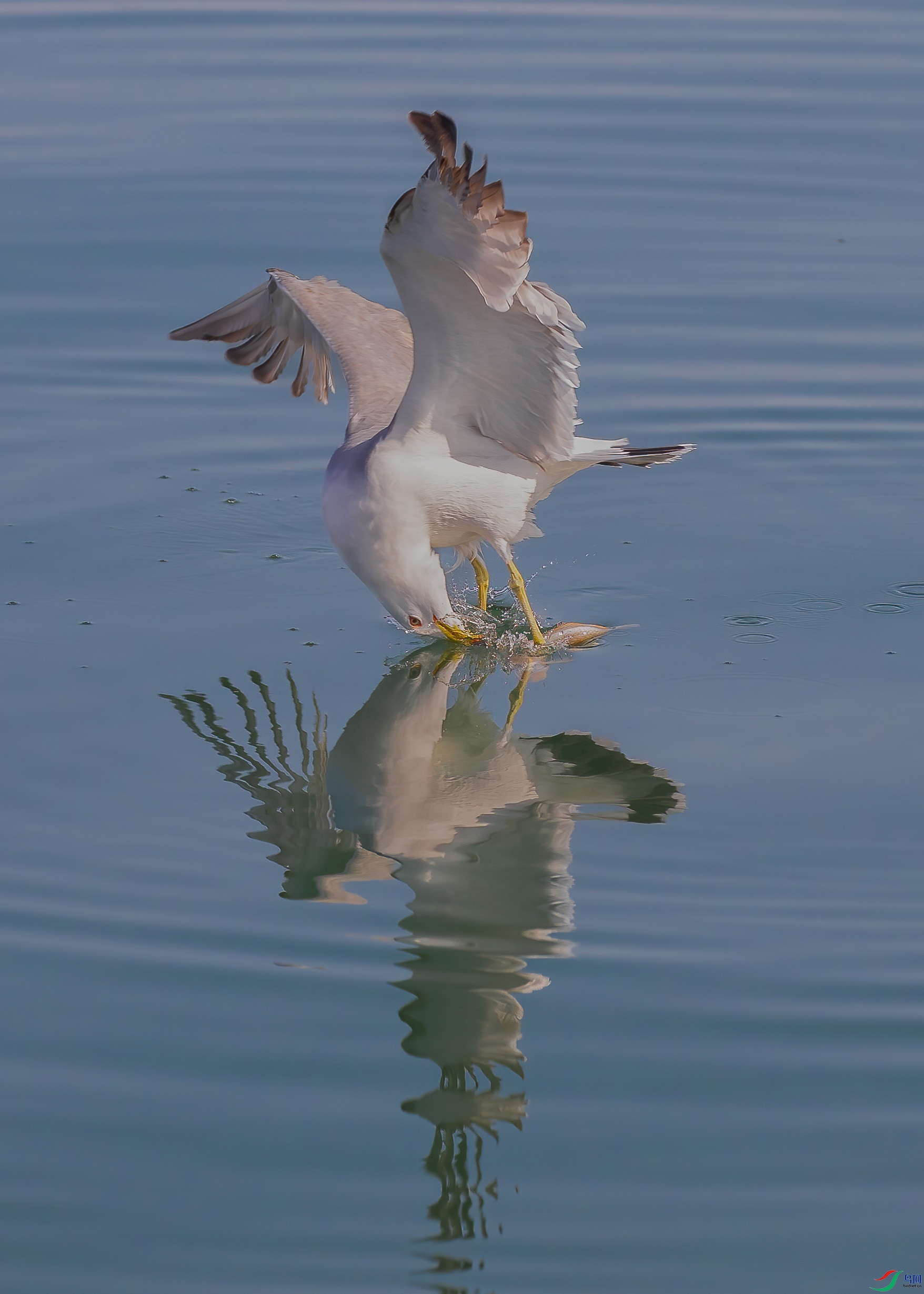 EL0T3343 ����.jpg