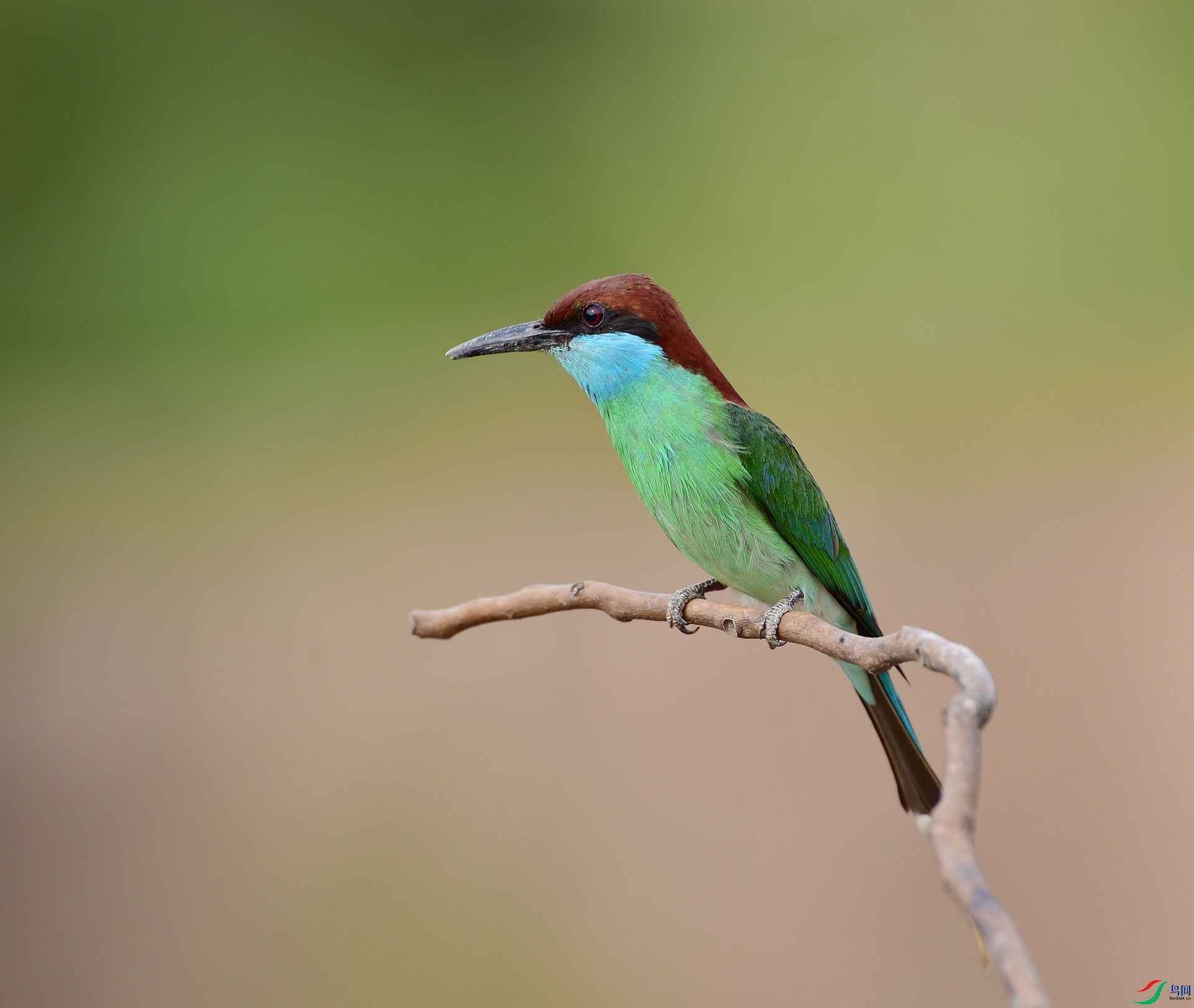 D8I_8875.jpg