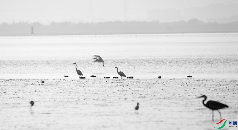 DSCF8344.1.jpg