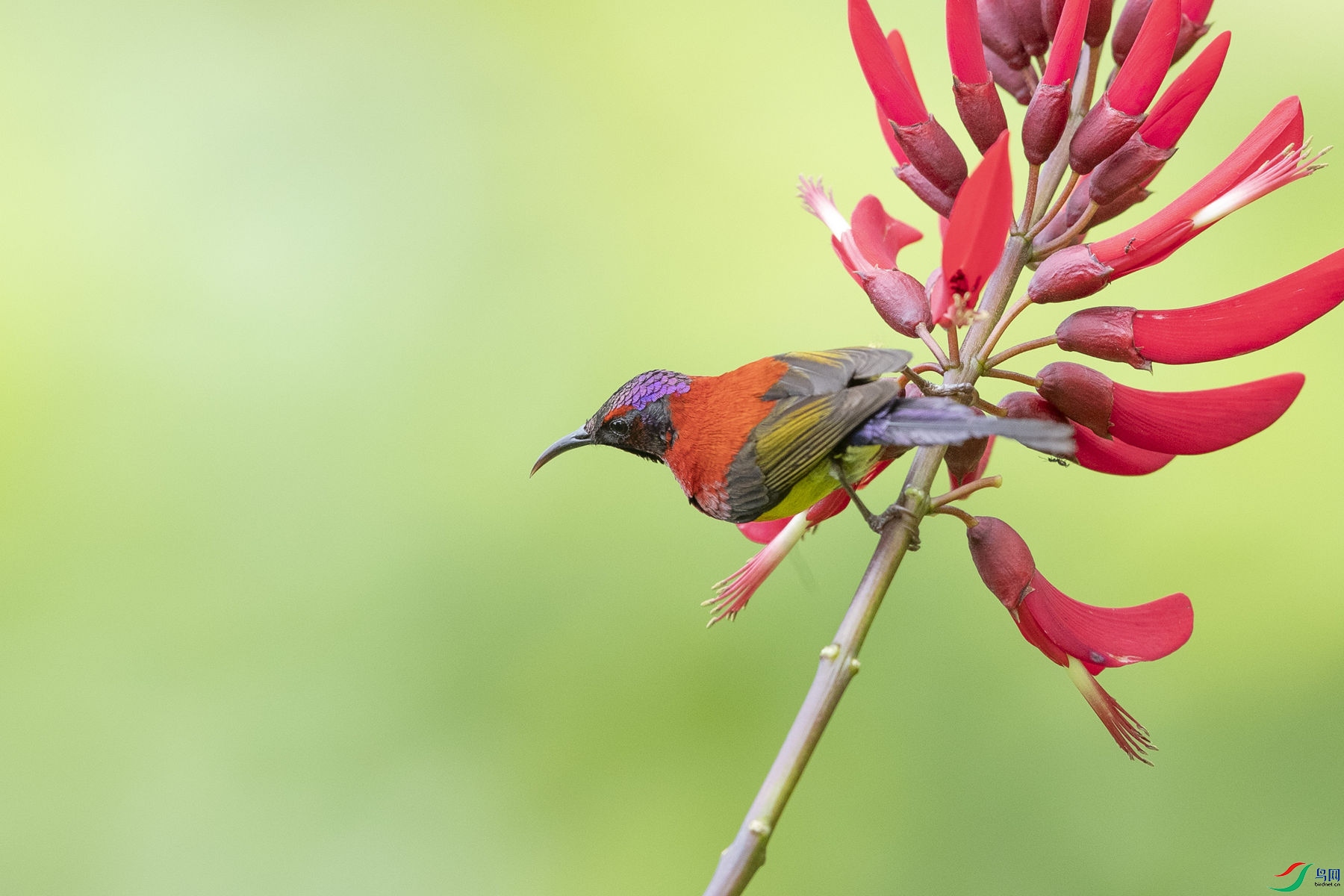 ����̫����3