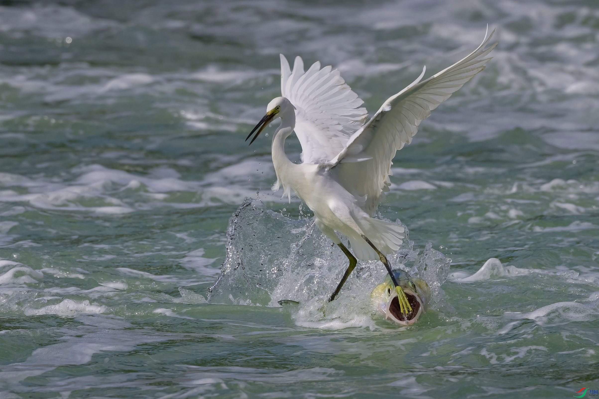 DSC_8254 ����F01A.jpg