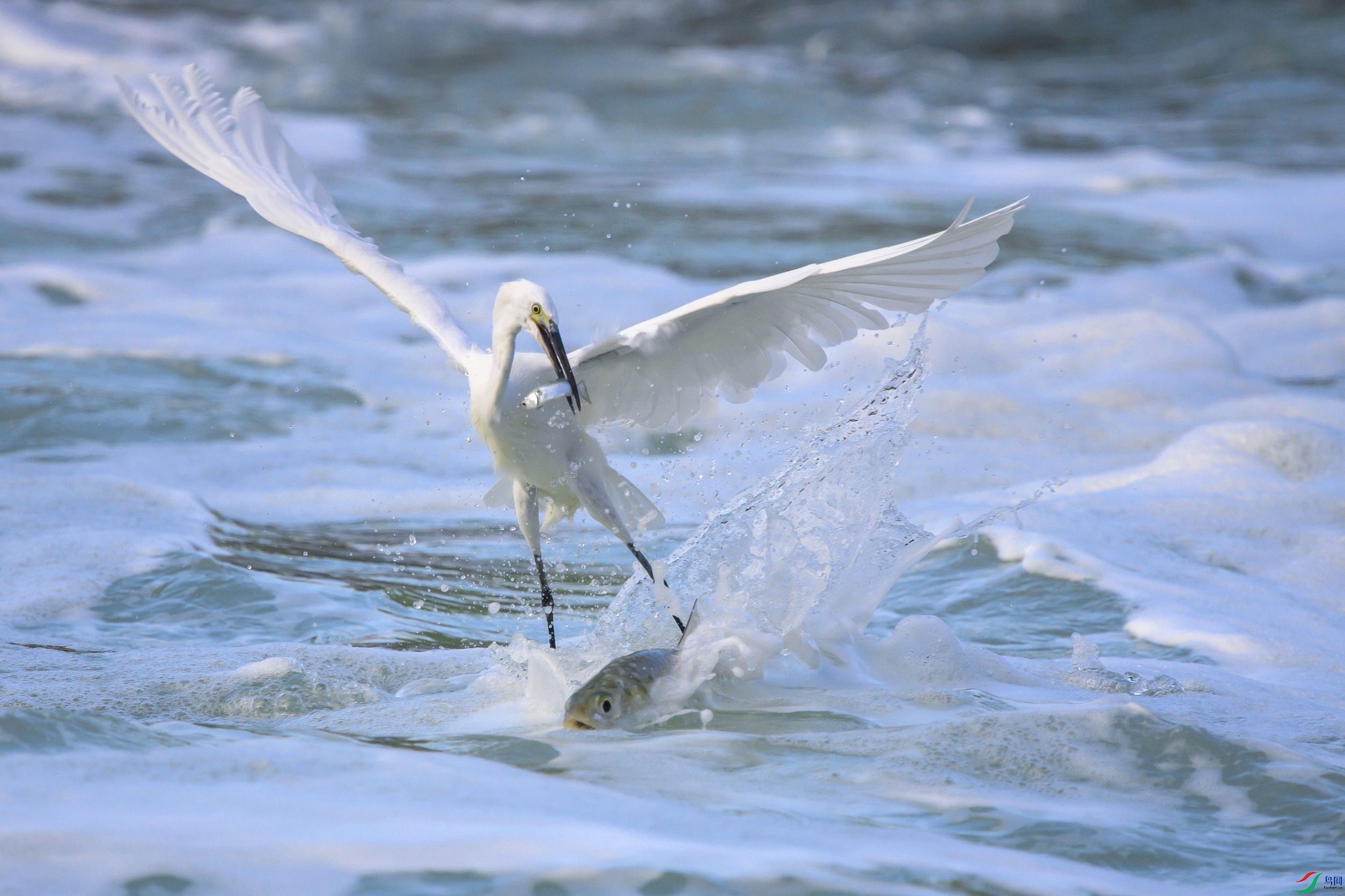 _DSC5056 ����F001.jpg