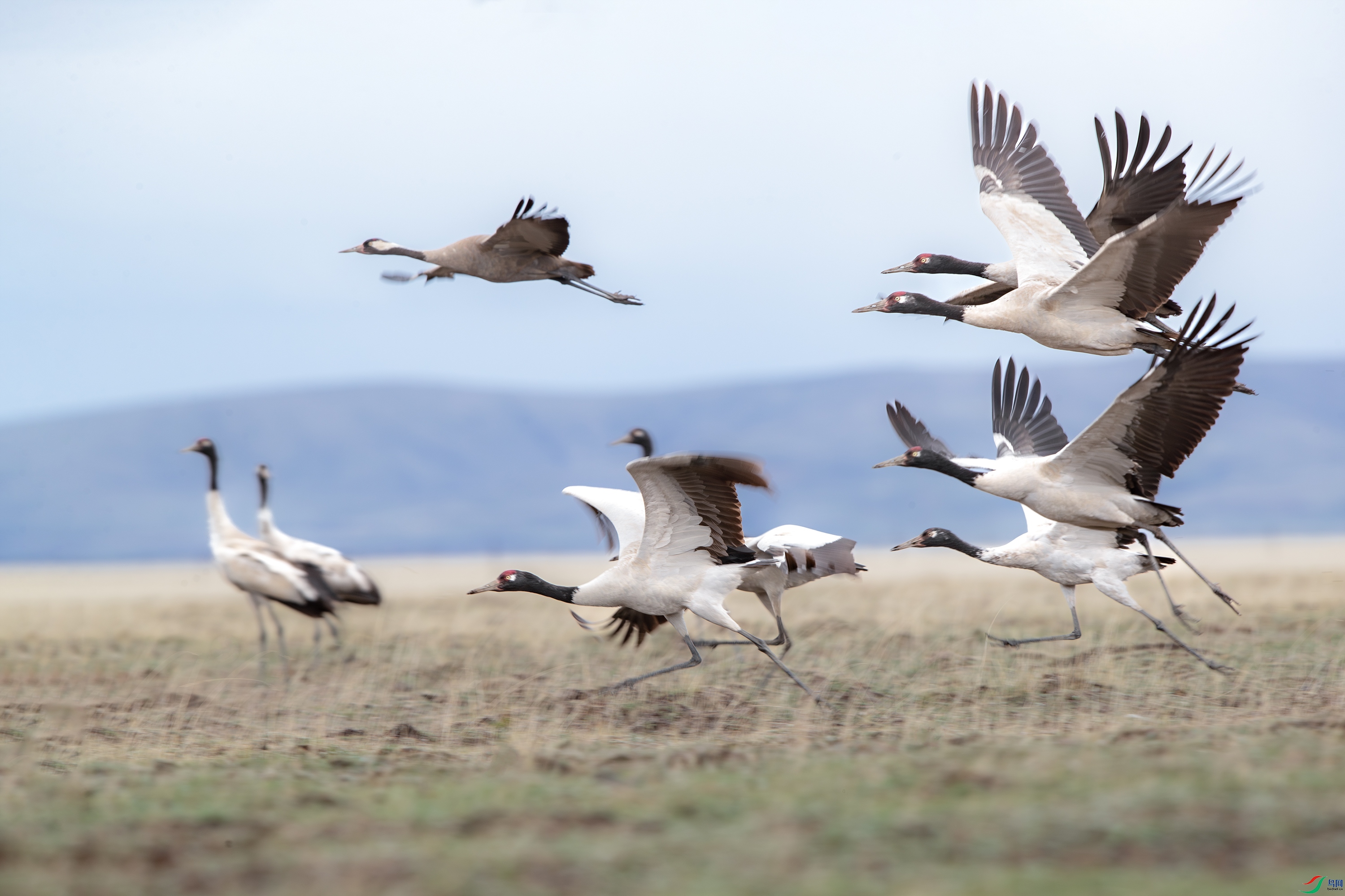 AY8I0025-NR ����.jpg