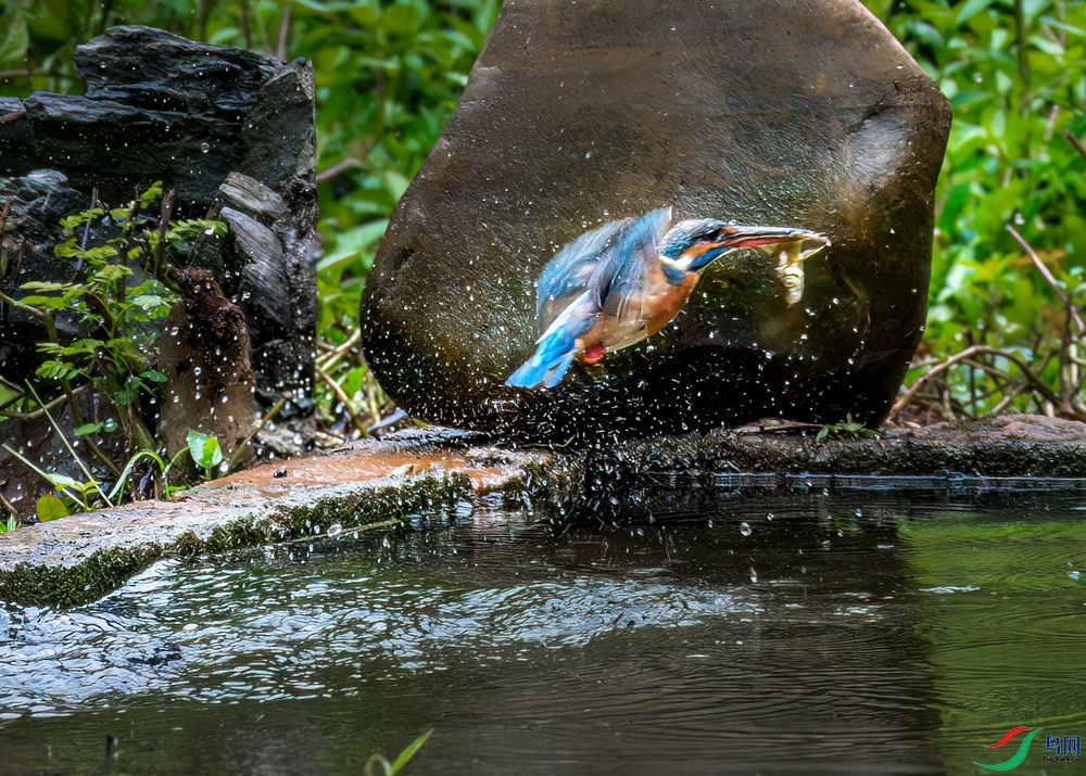 _DSC9610.jpg