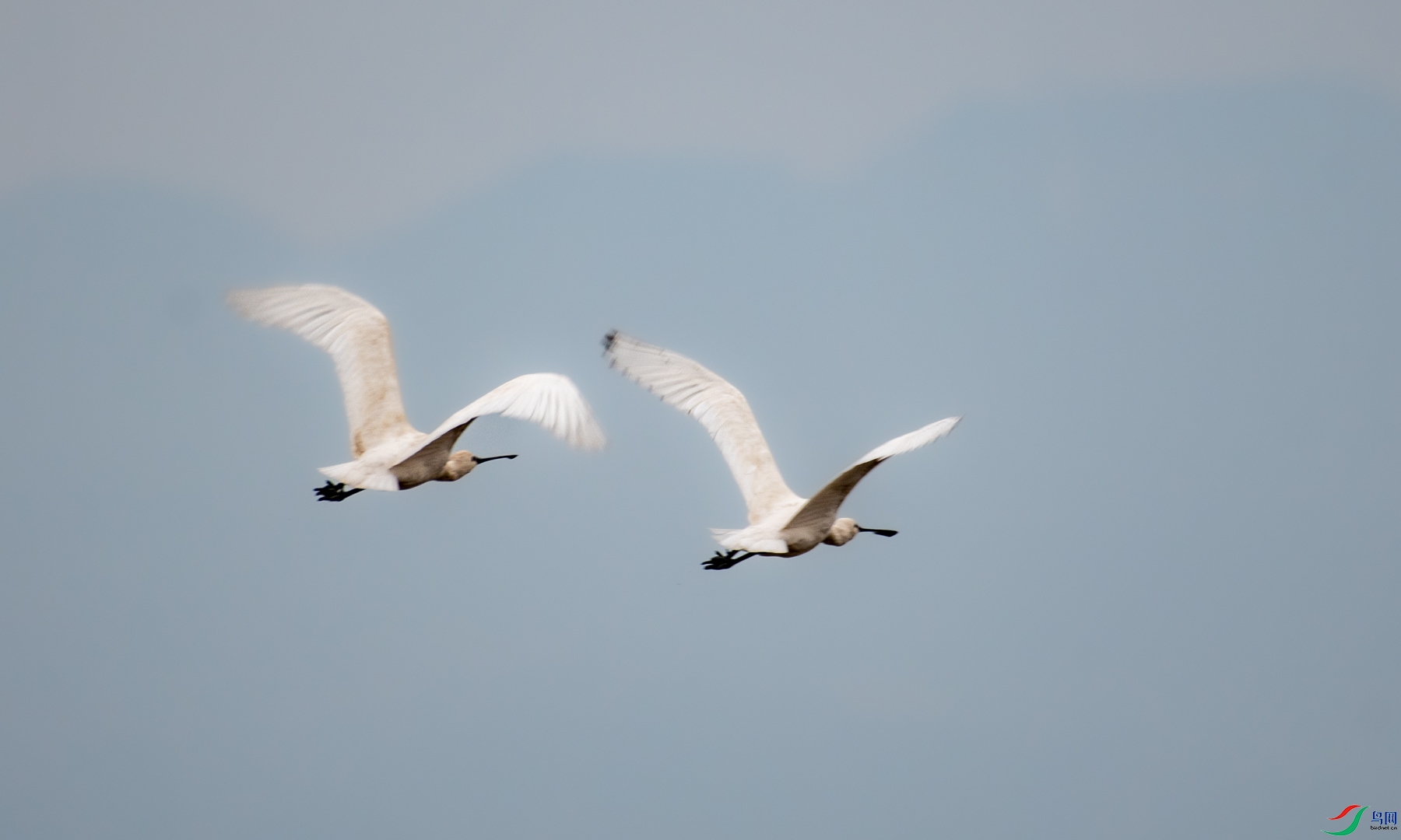 DSC_1168.jpg