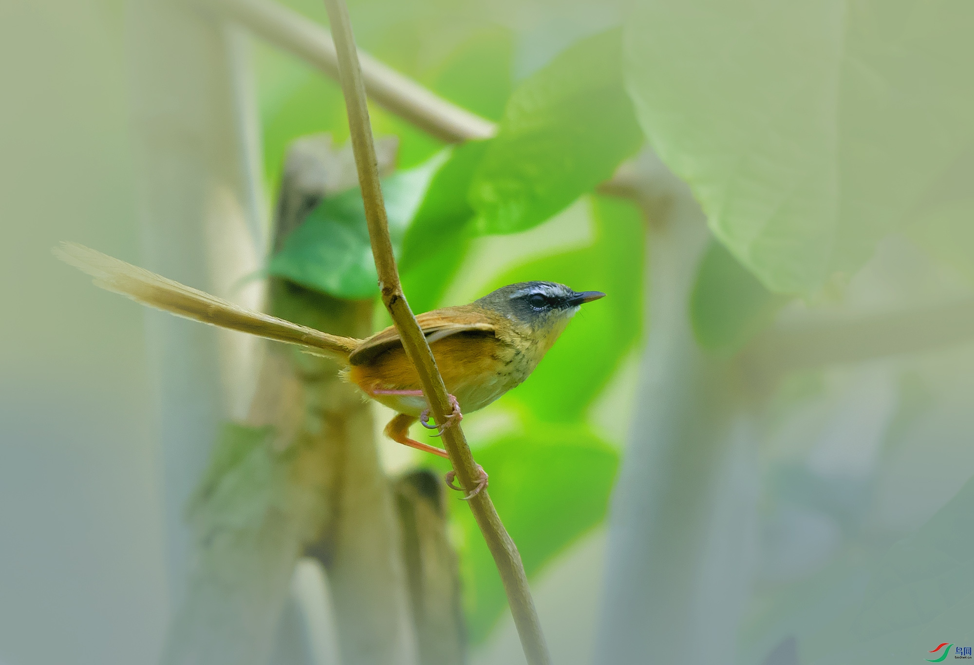 DSC_0296.JPG