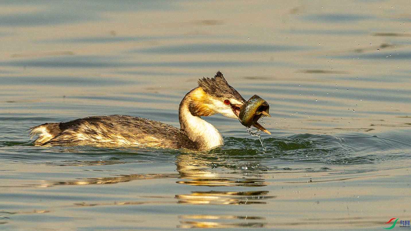 0847 ���� 2.jpg