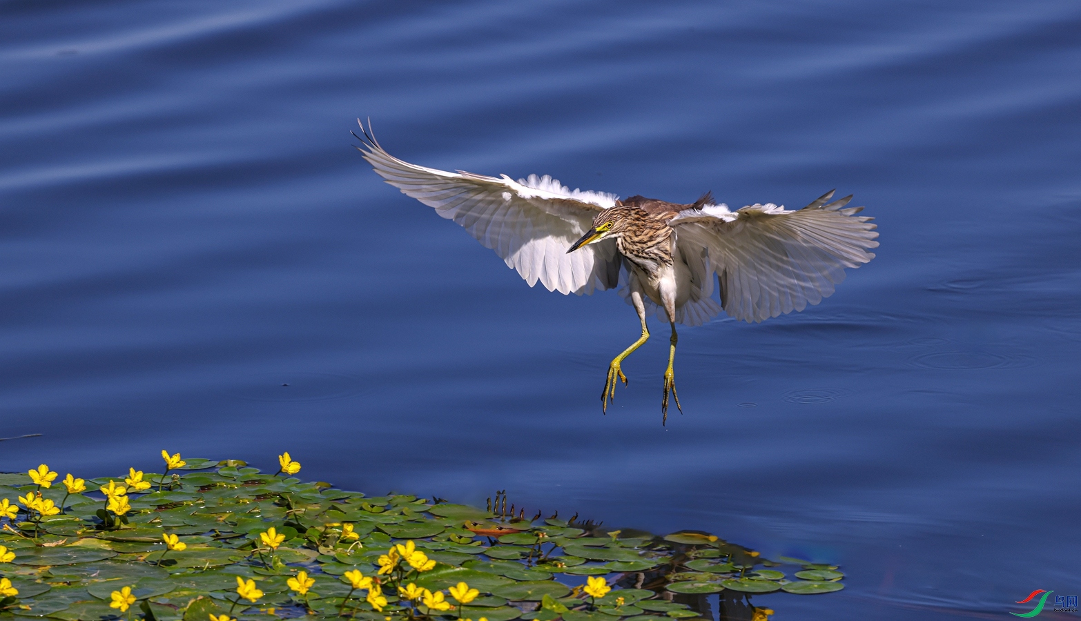 2J8A8577 ����_����.jpg