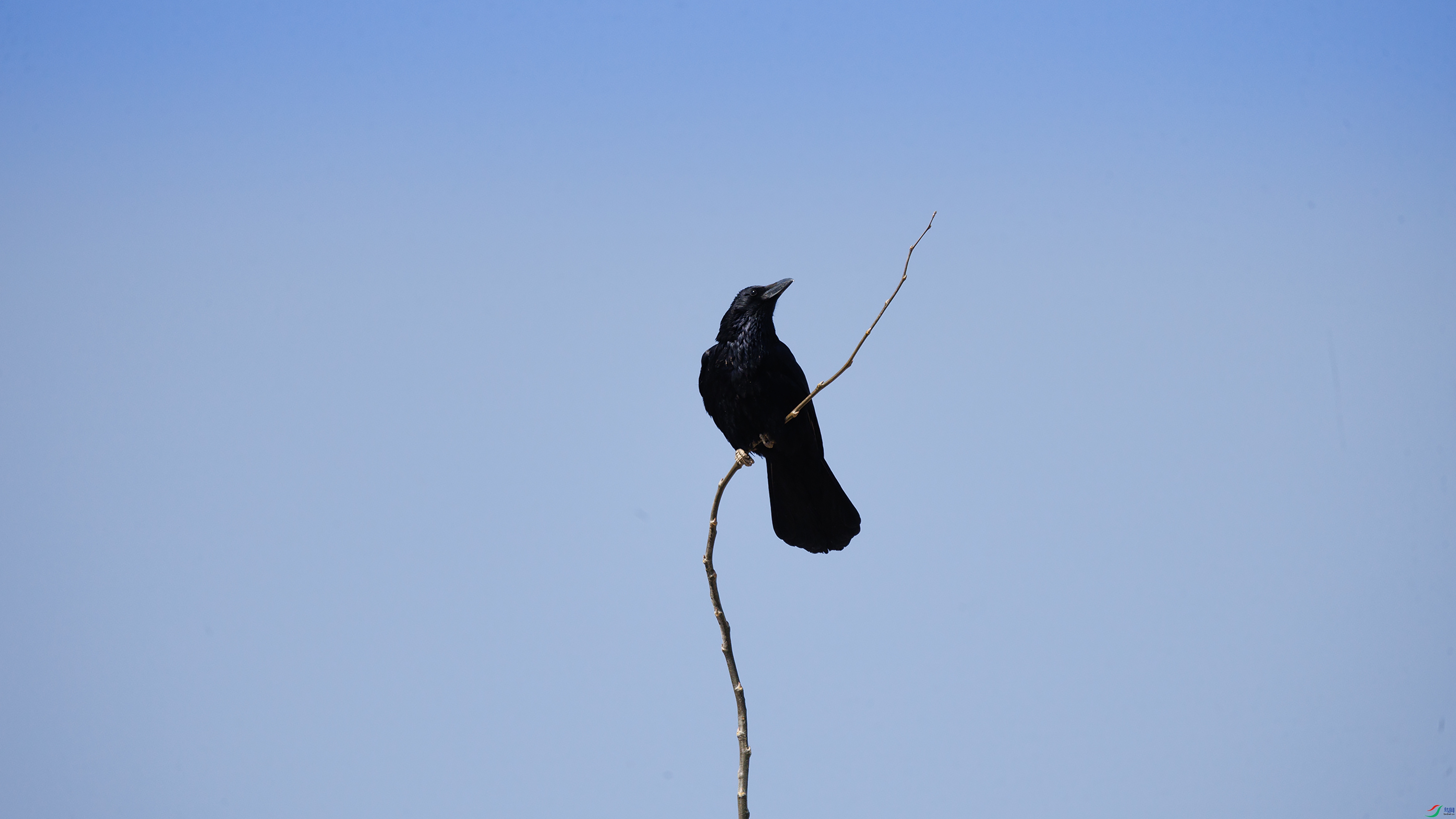 7X5A6553 ����4444.jpg