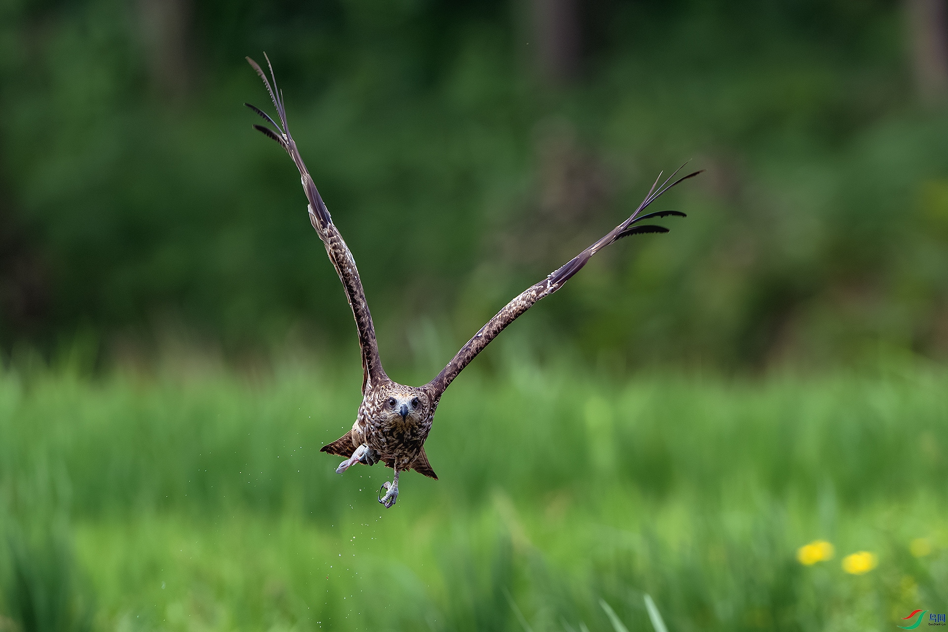 _DSC8297-����ǿ-NR ����С.jpg