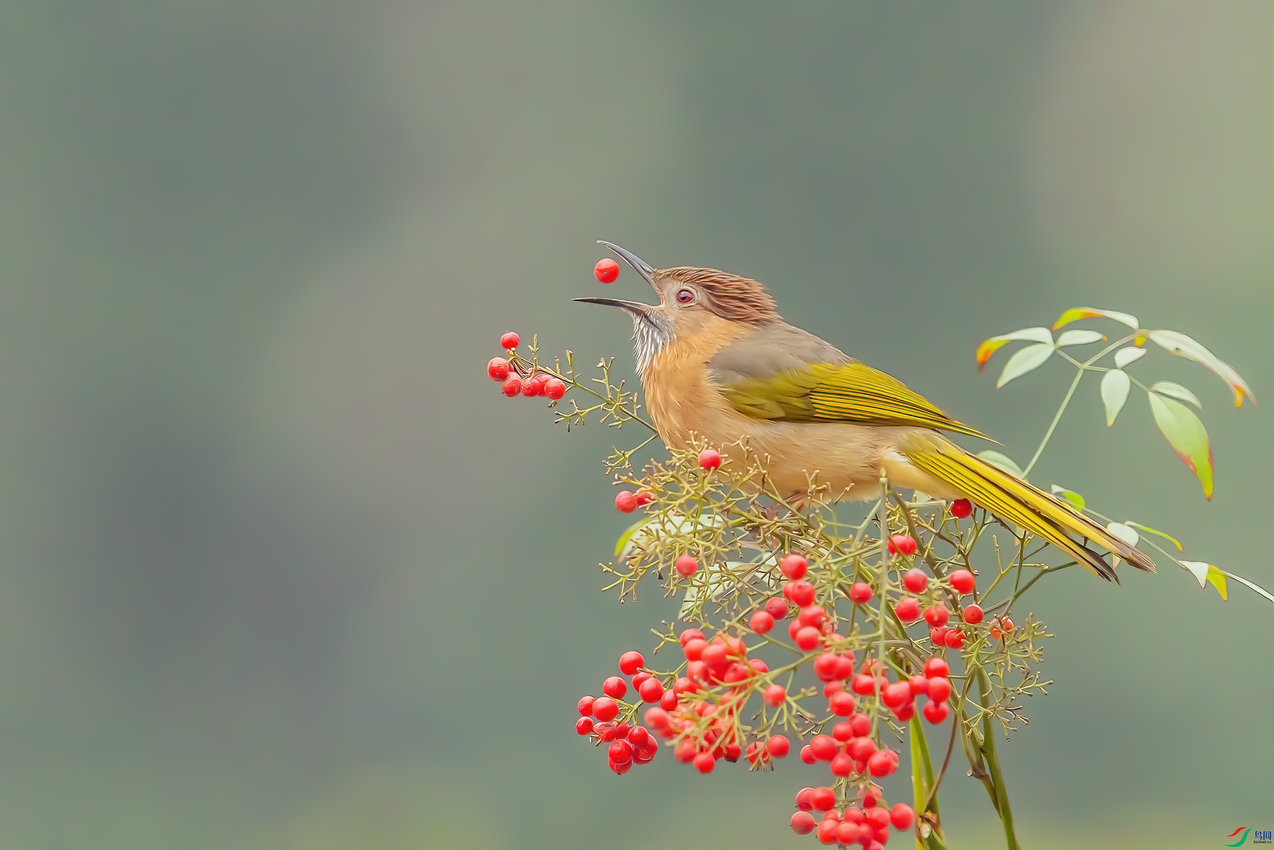 C09R8868 ����.jpg