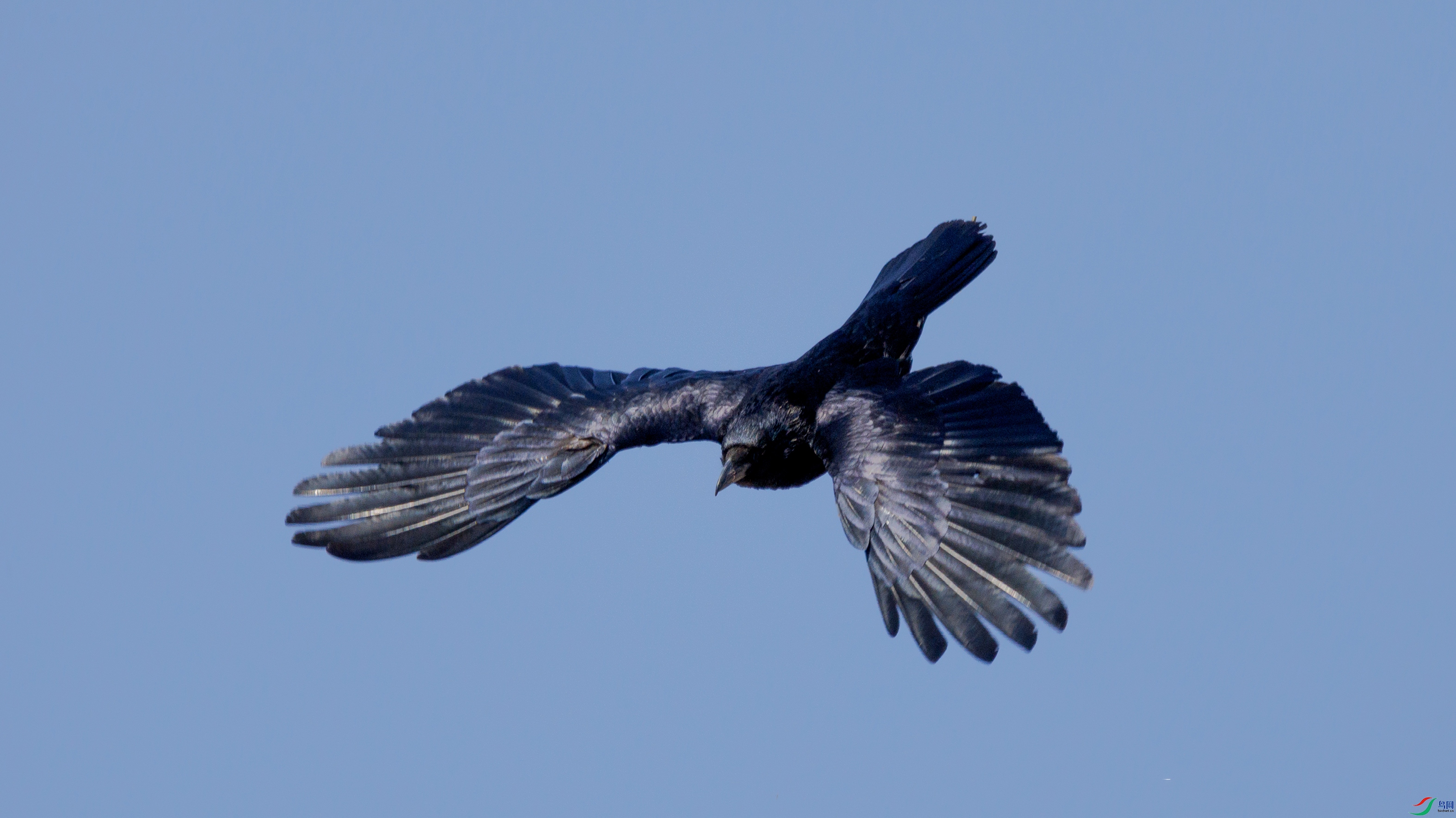 7X5A6568 ����4444.jpg