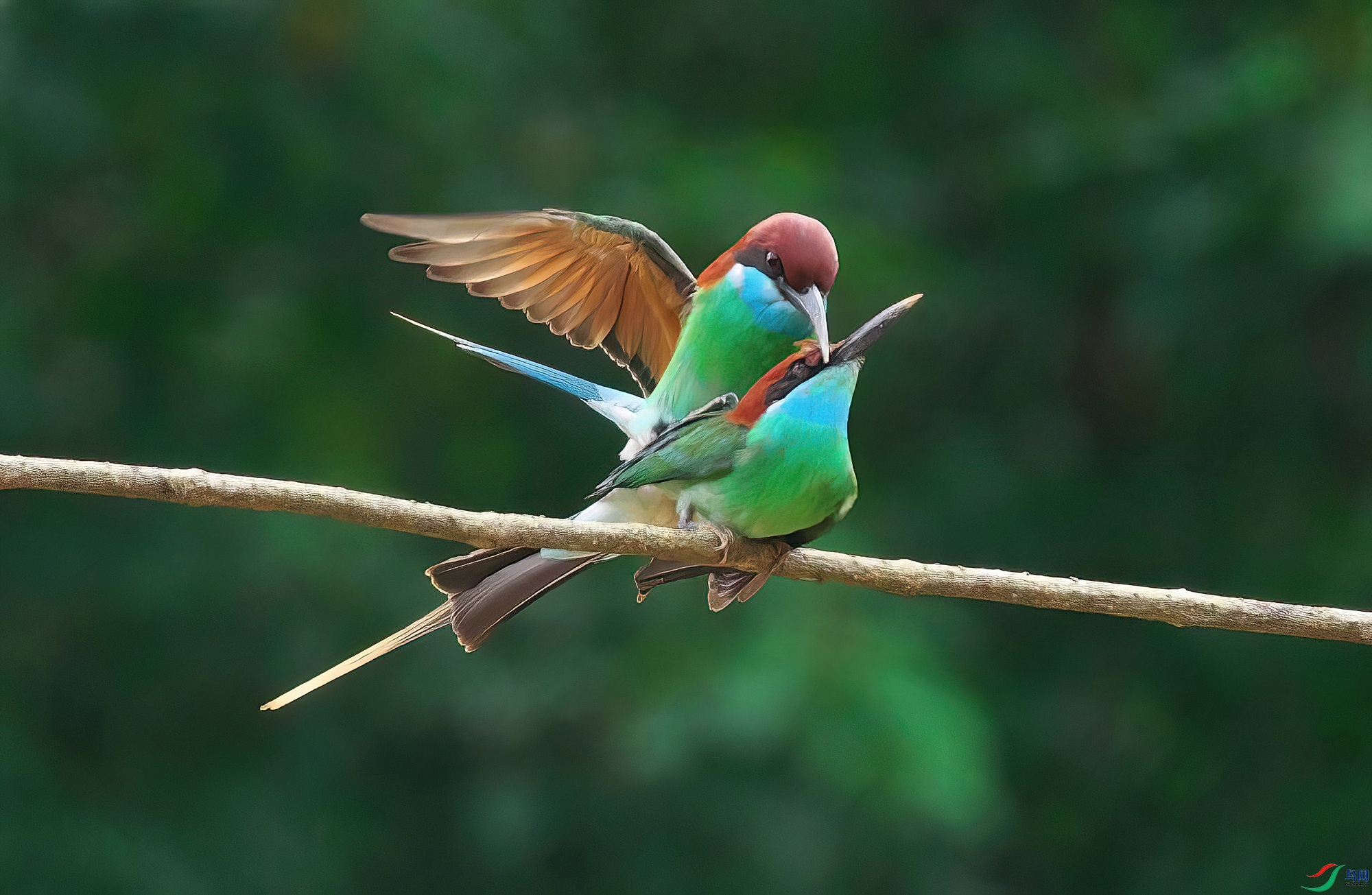 DSCF6736-zz_910.JPG