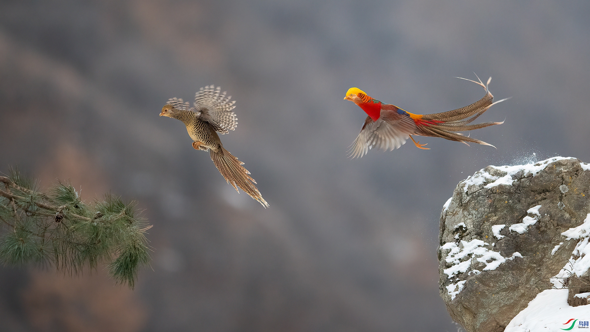 _A4I0312-x ����.jpg