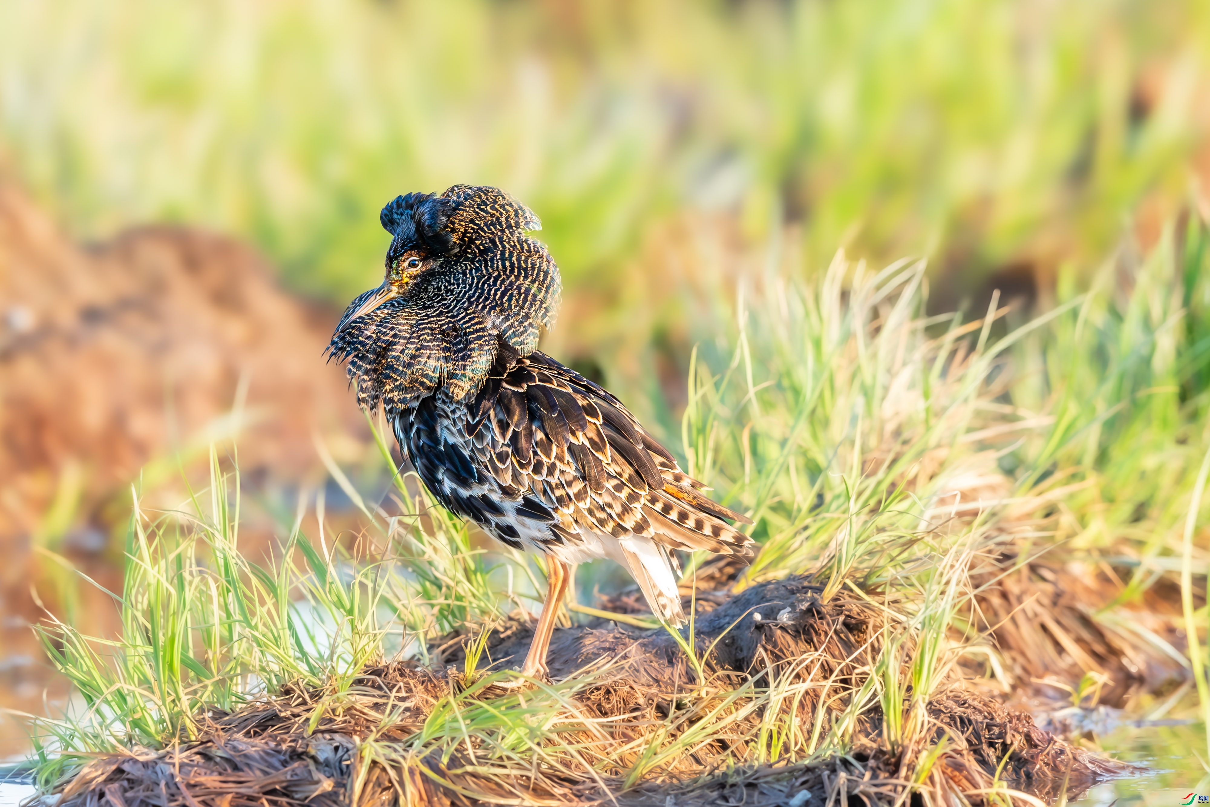 ÿ�ռ��� Ӣ������ ���� ����.jpg