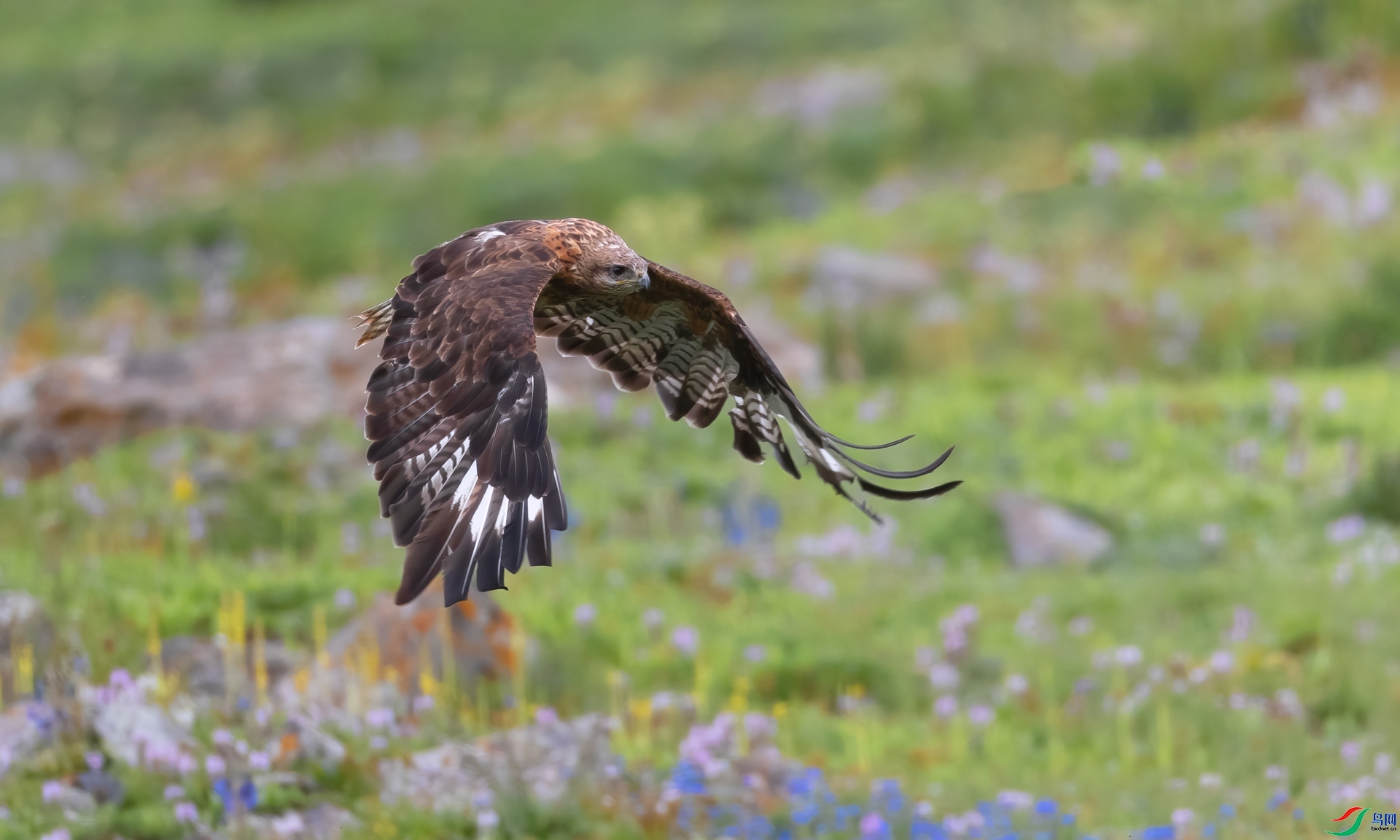 ÿ�ռ��� �����