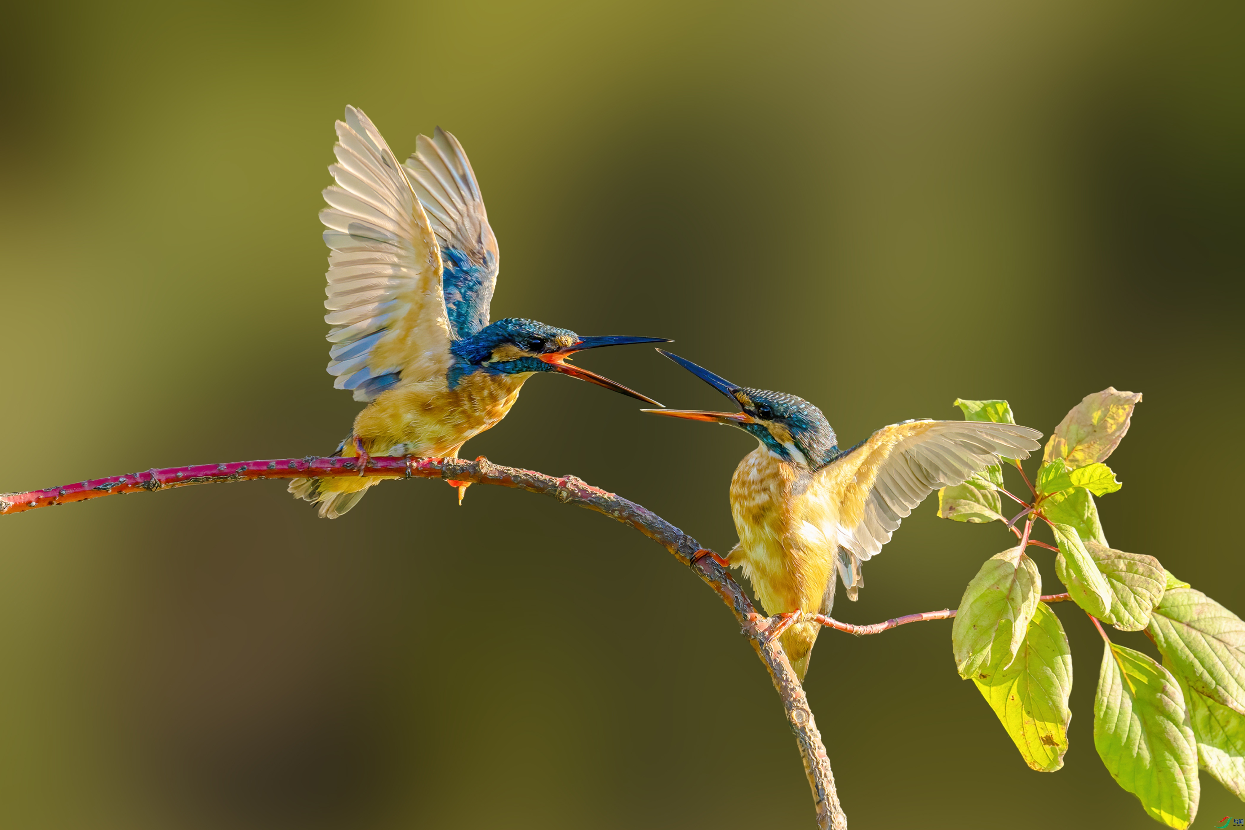 DSC05476 ����.jpg