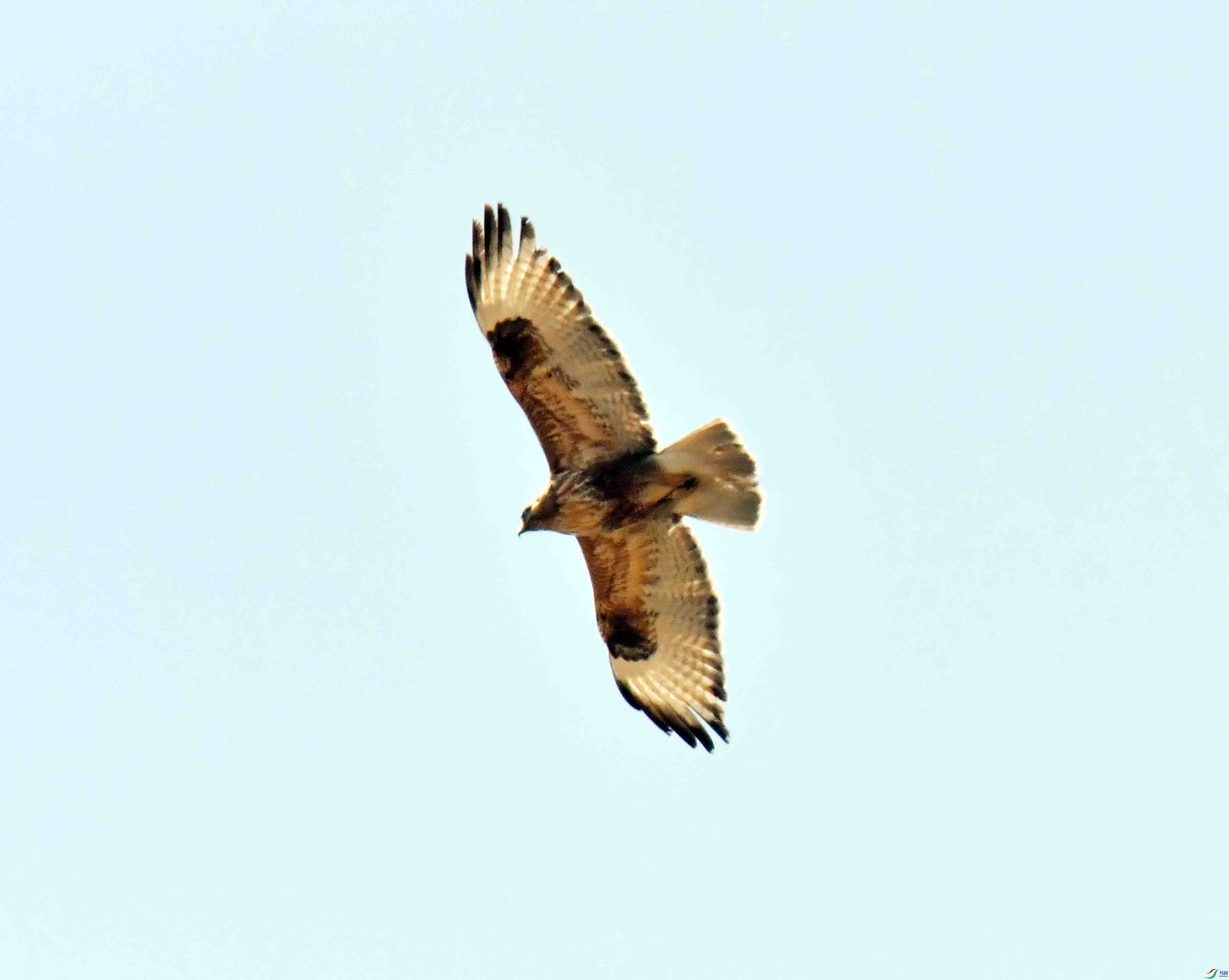 DSC_1305.JPG