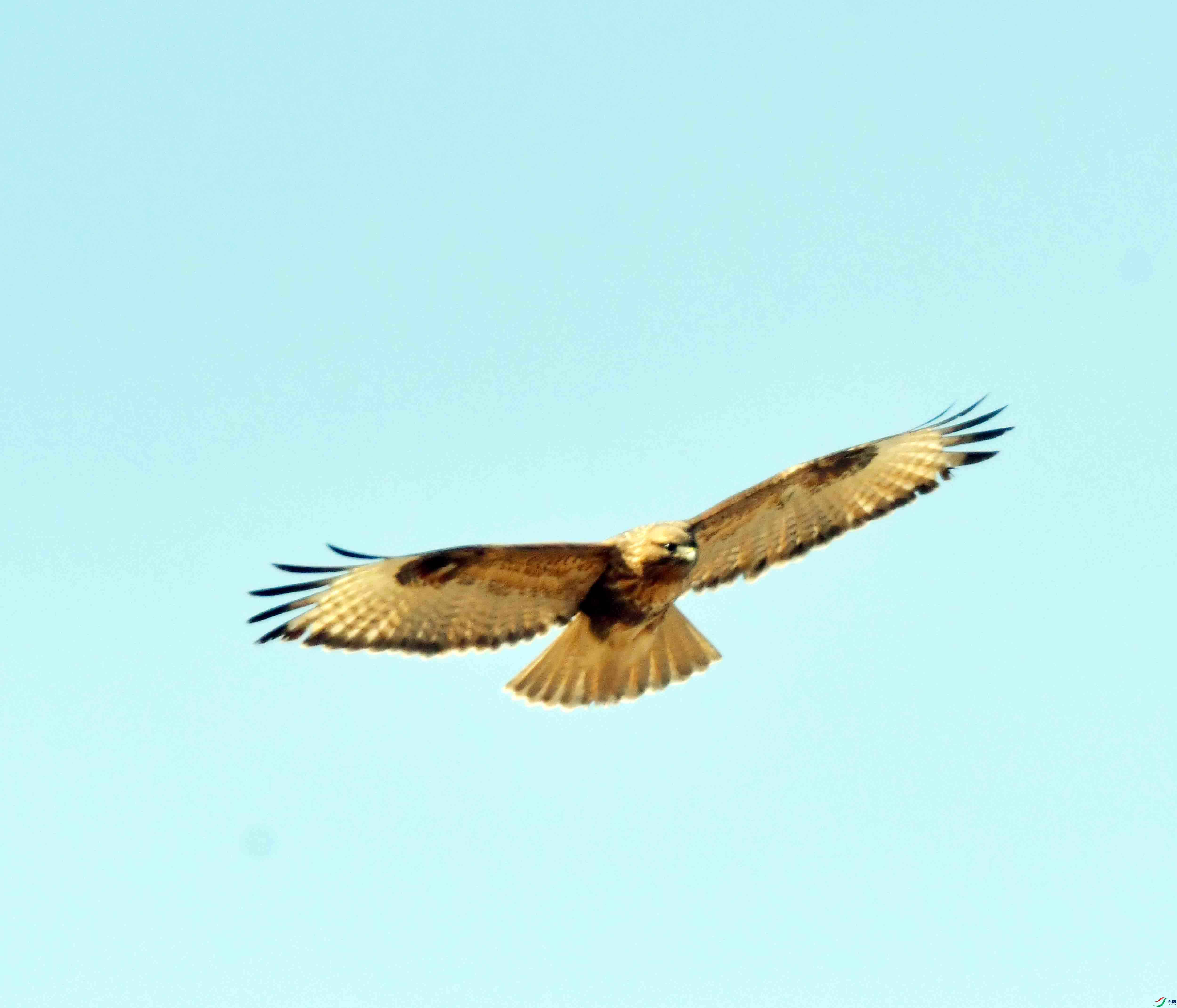 DSC_3101.JPG