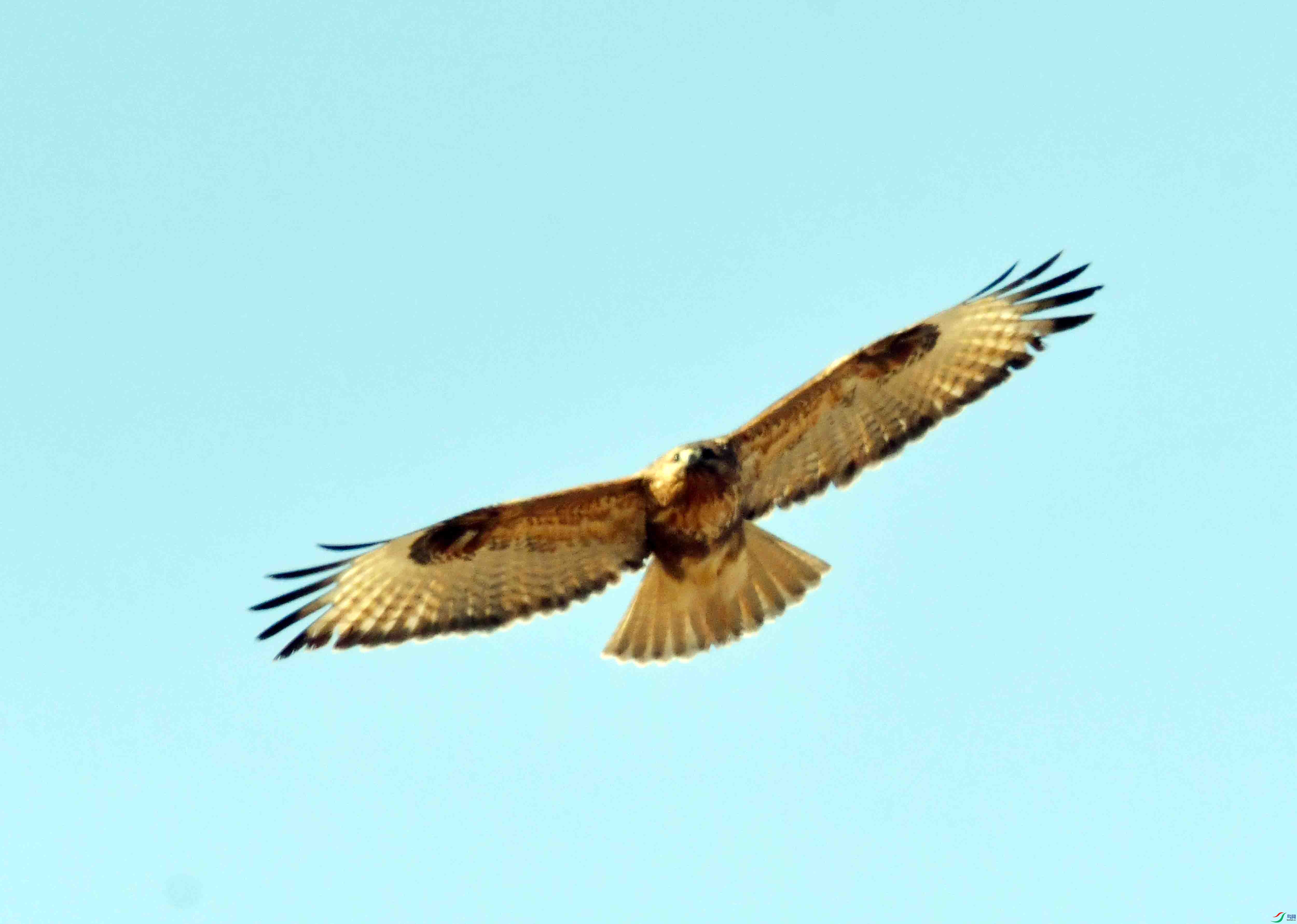 DSC_3103.JPG