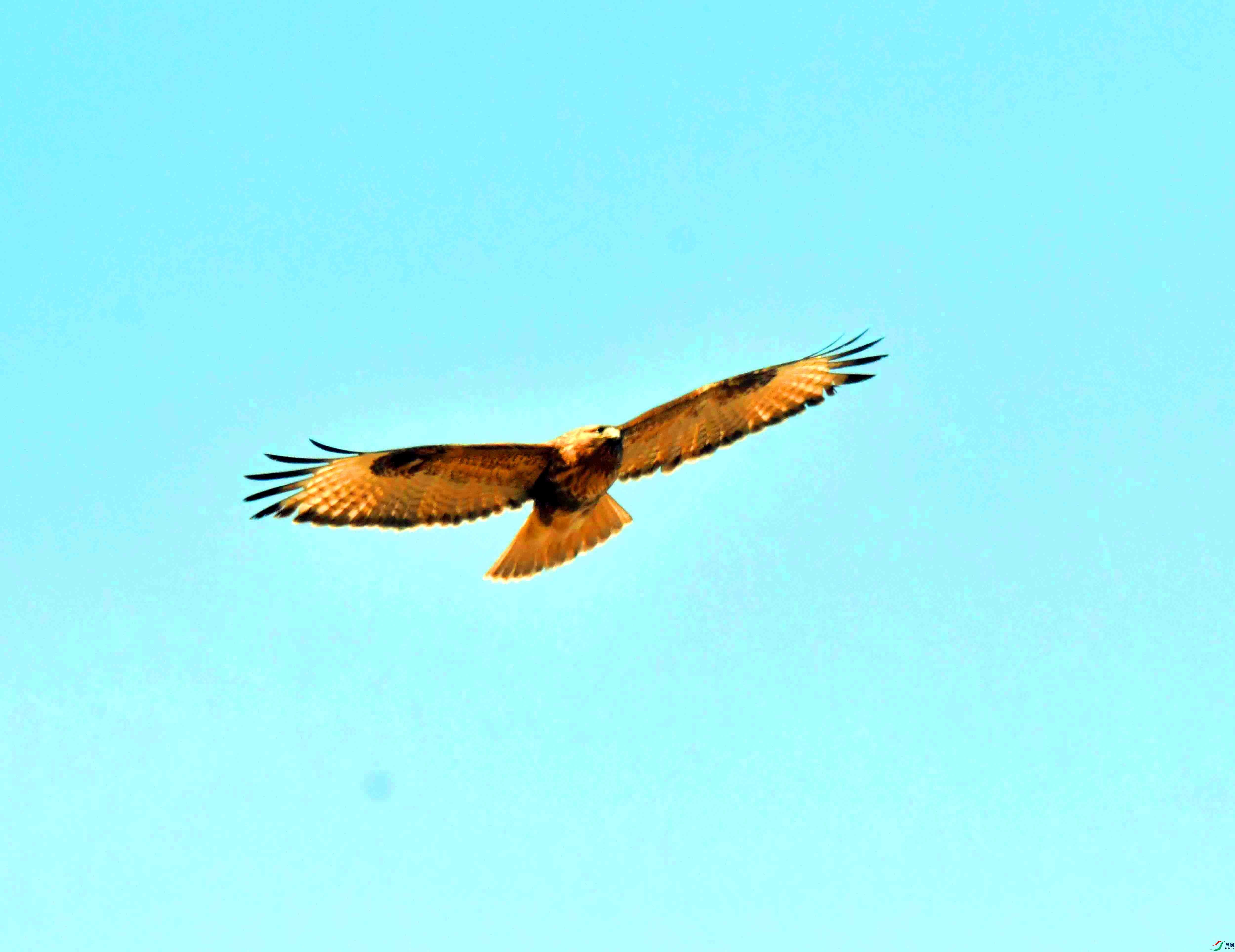 DSC_3124.JPG