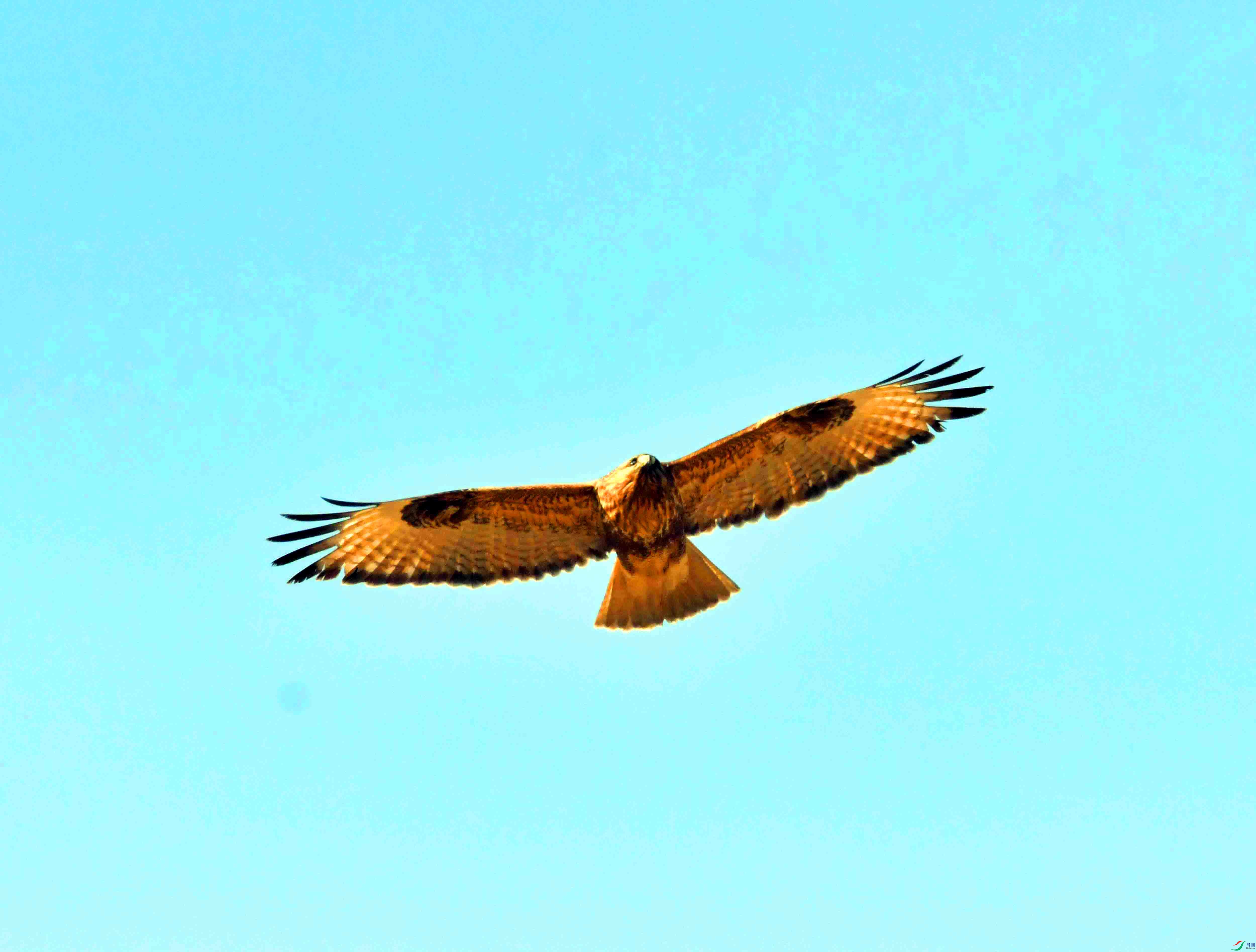 DSC_3126.JPG