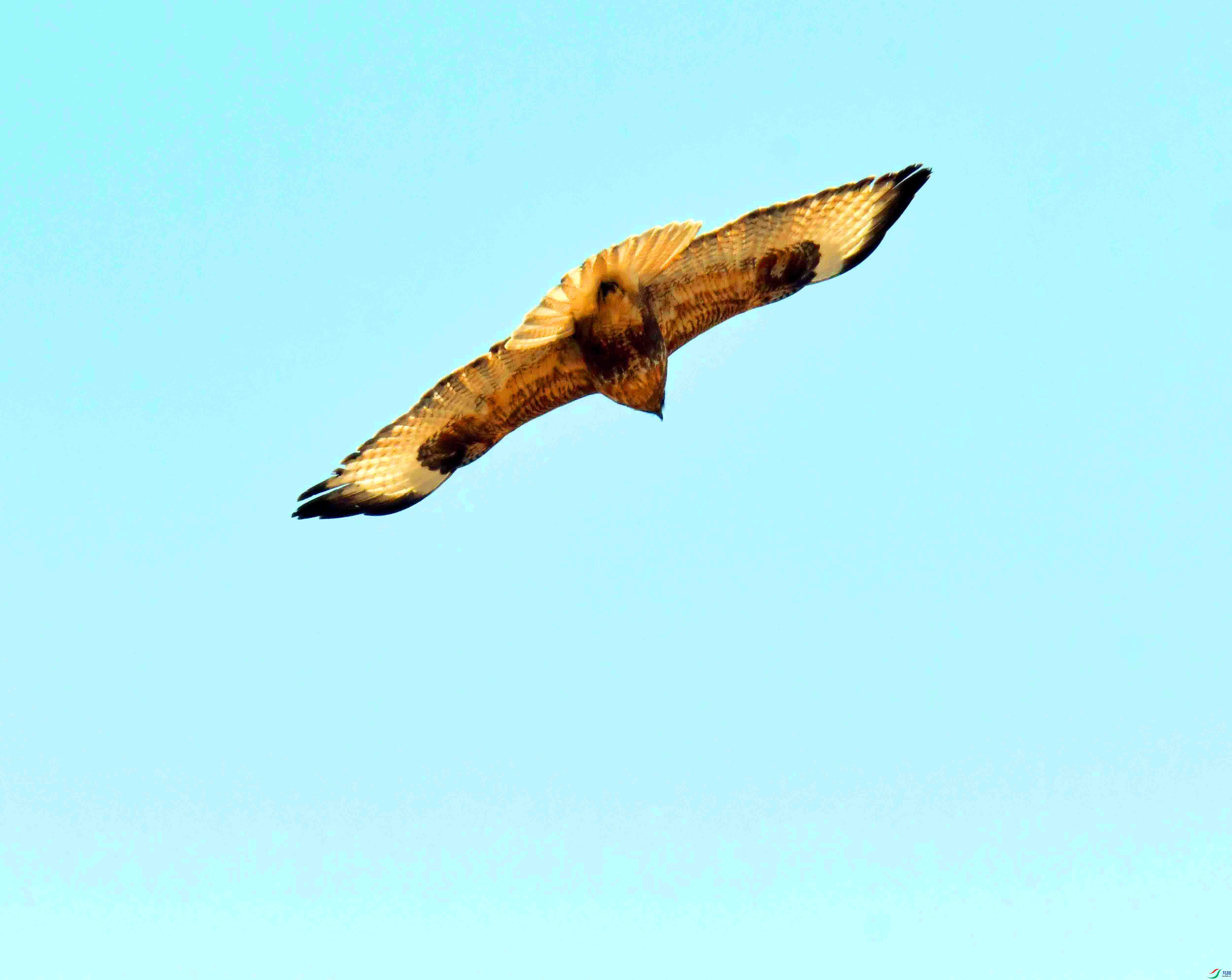 DSC_3151.JPG