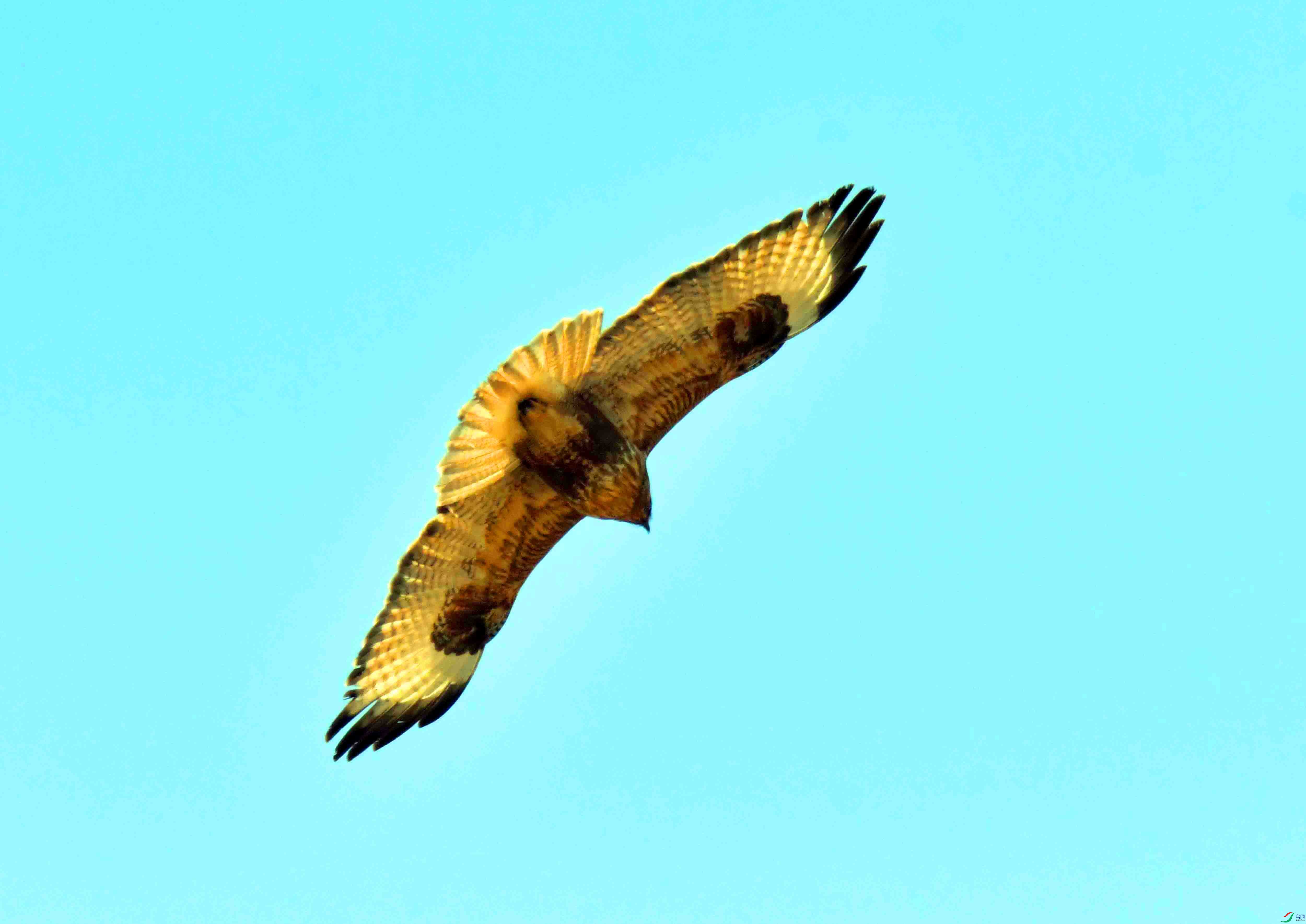 DSC_3150.JPG