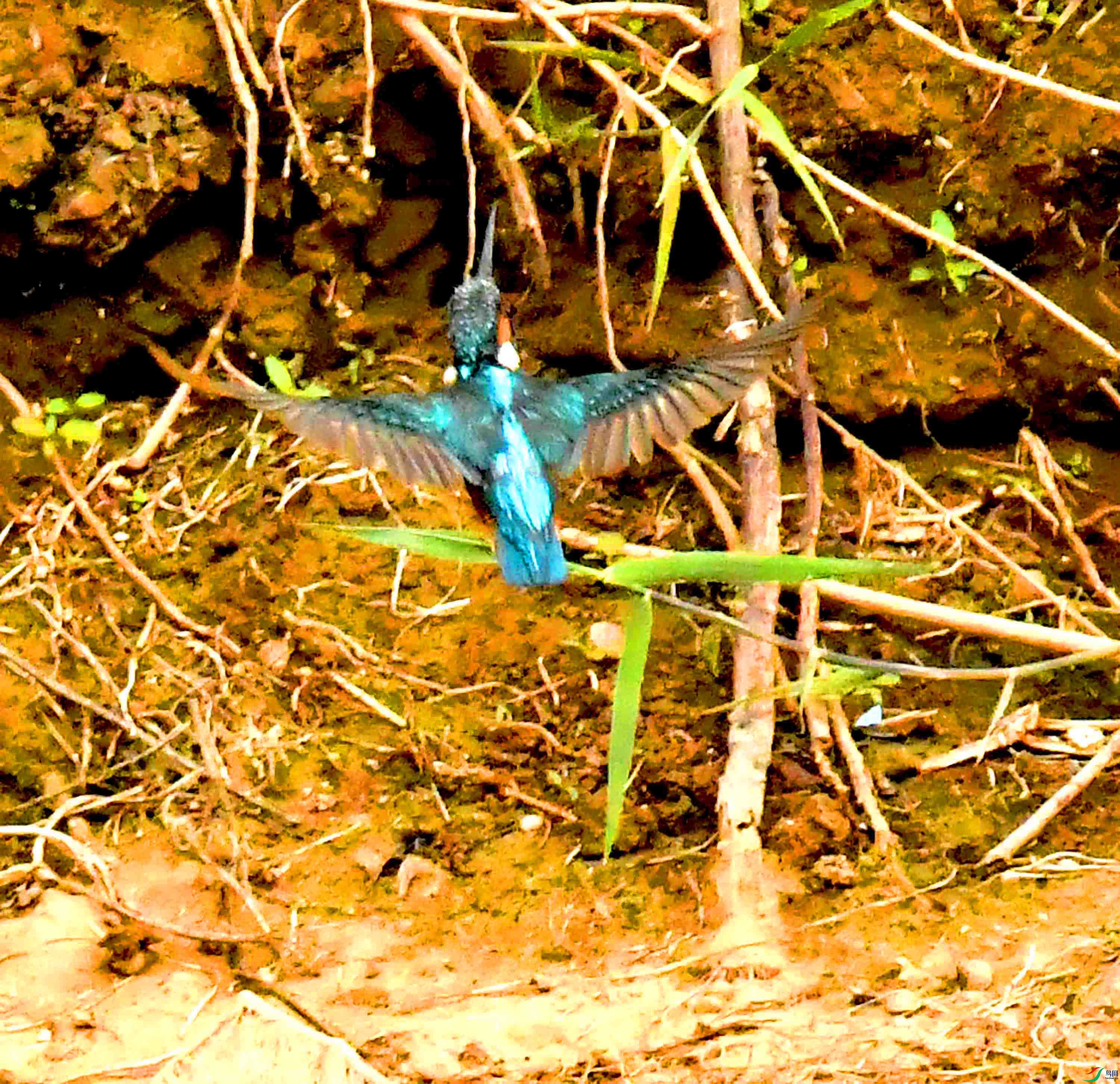 DSC_0869.JPG