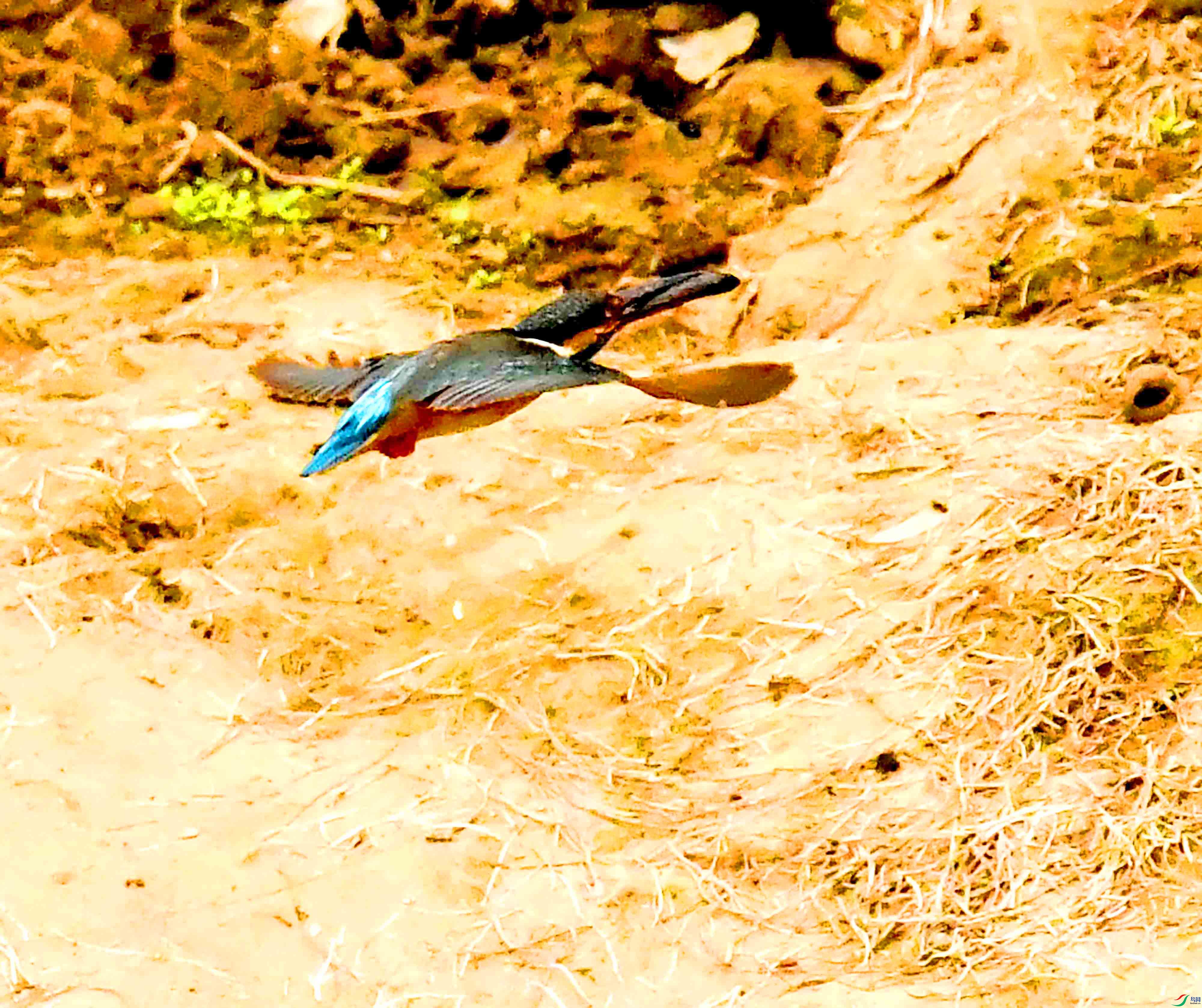 DSC_0887.JPG