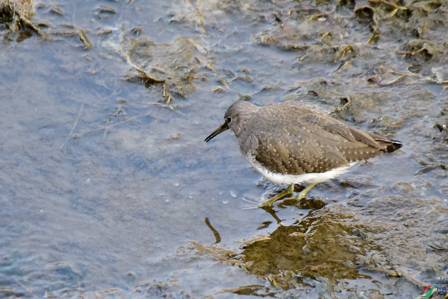DSC_4298.JPG
